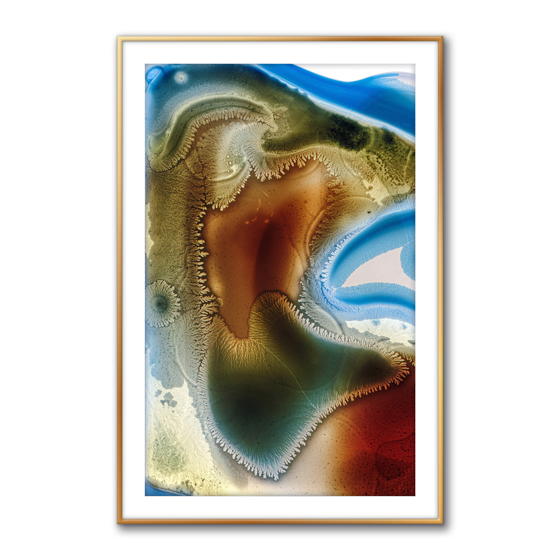 Crystalscape #10 (Mycobiome)