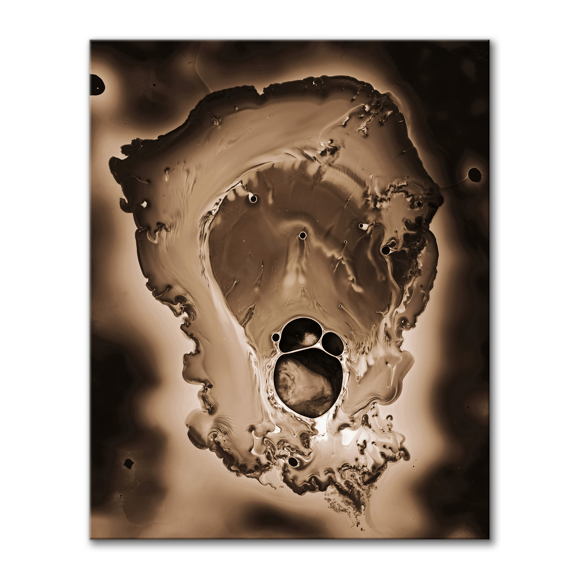 Primordium I