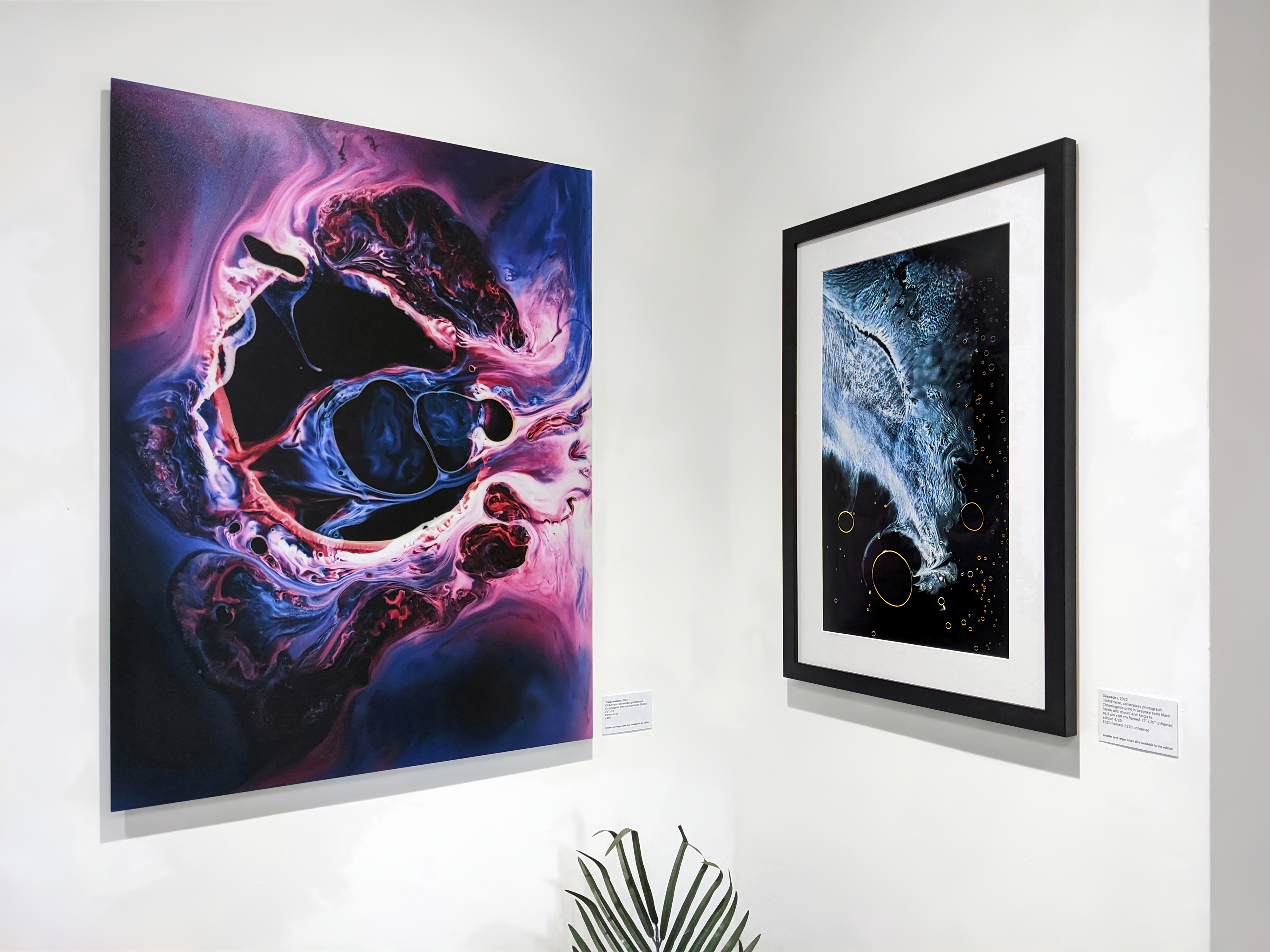 "Transcendence" & "Cascade I"