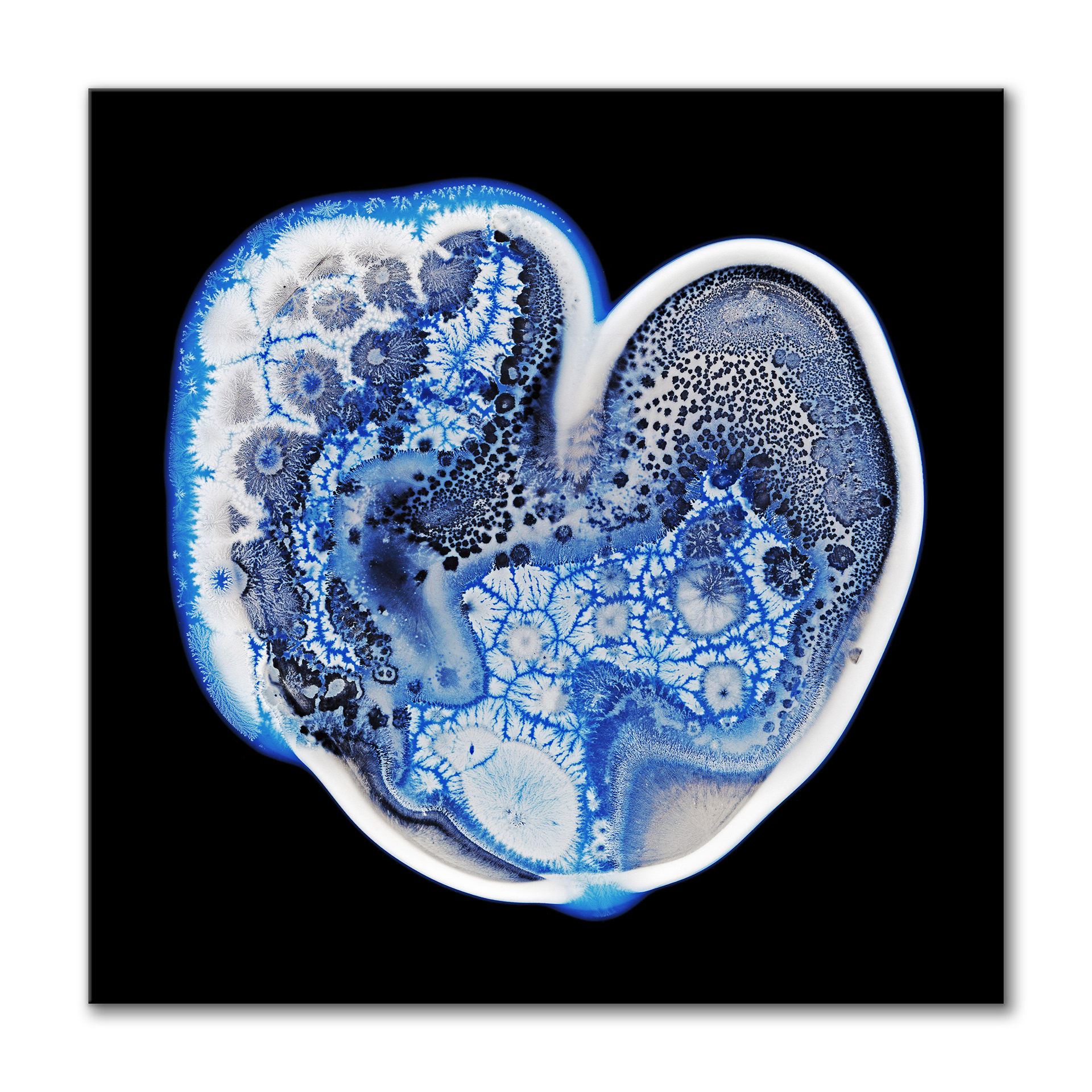 Cryophile I