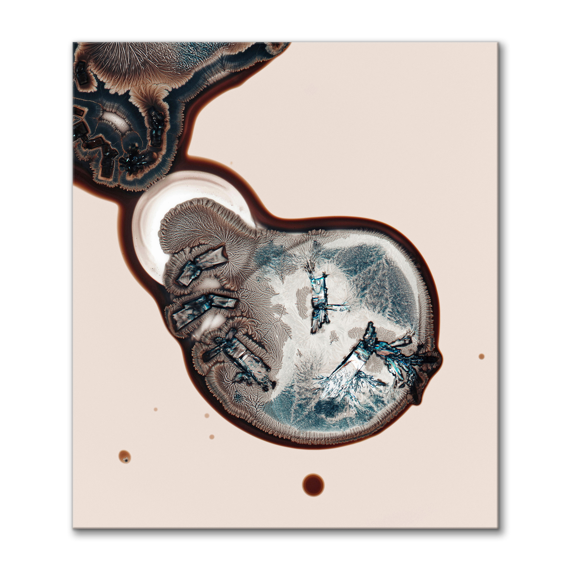 Life on Mars III