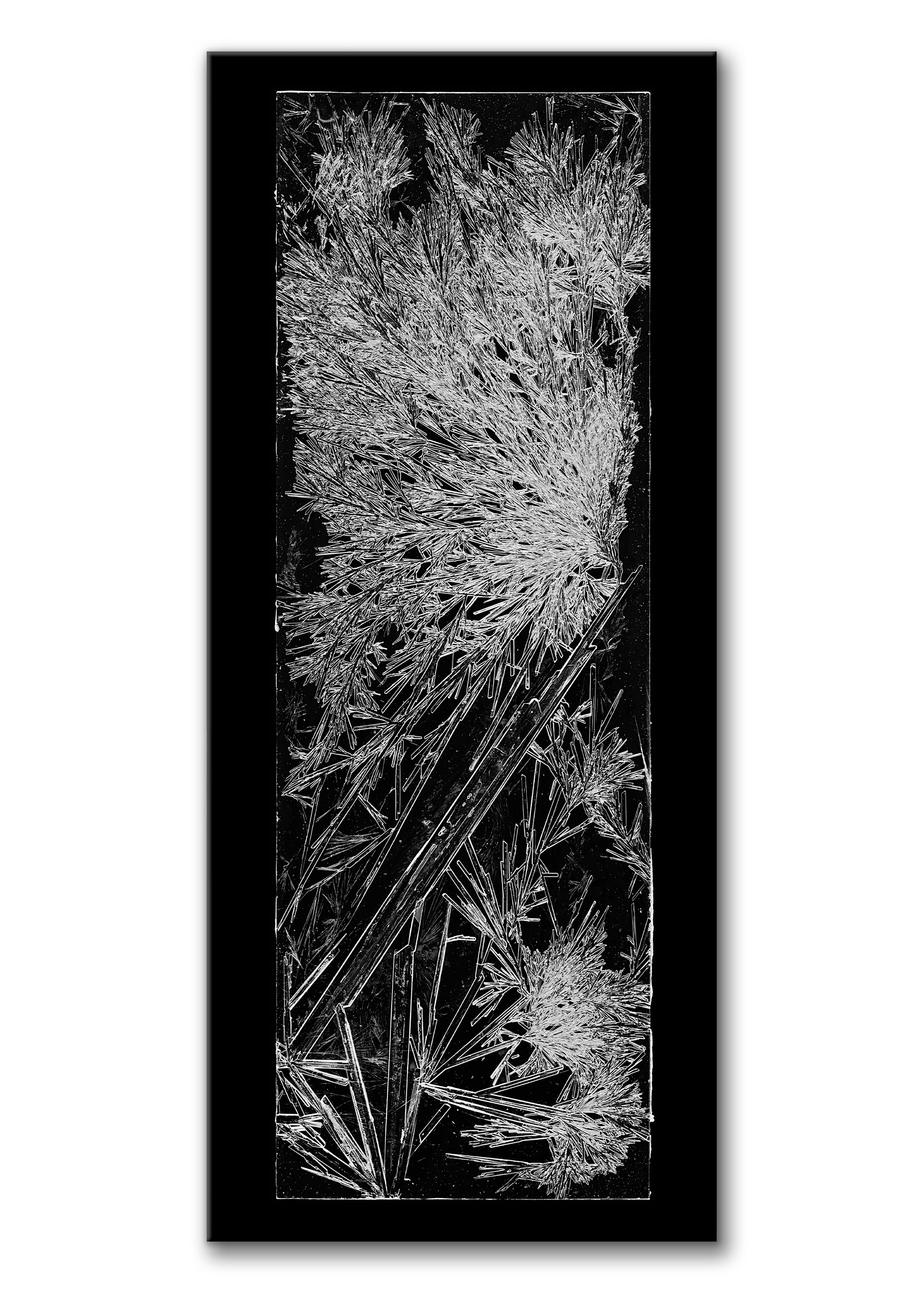 Frostwork #1 (Arctic Bloom)