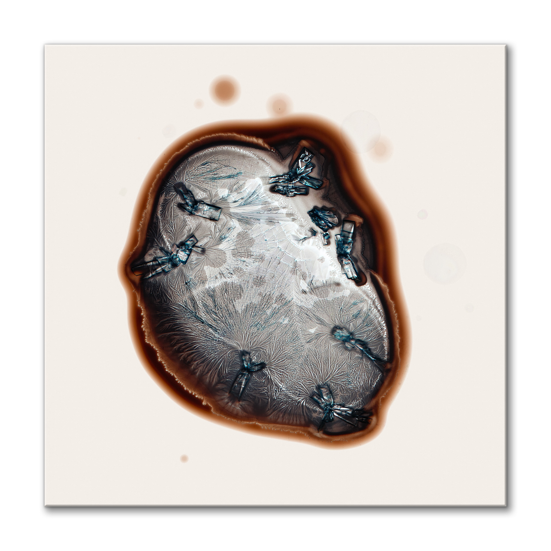 Life on Mars I