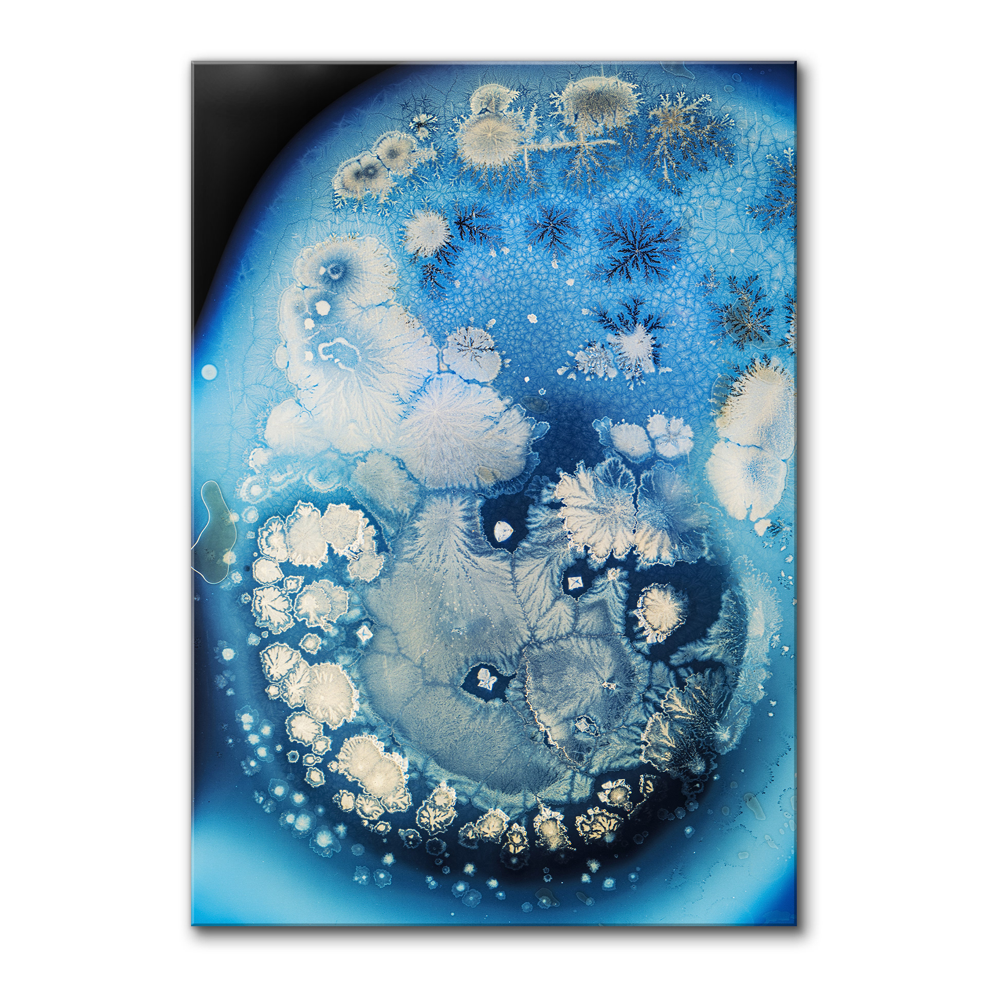 The Blue Planet