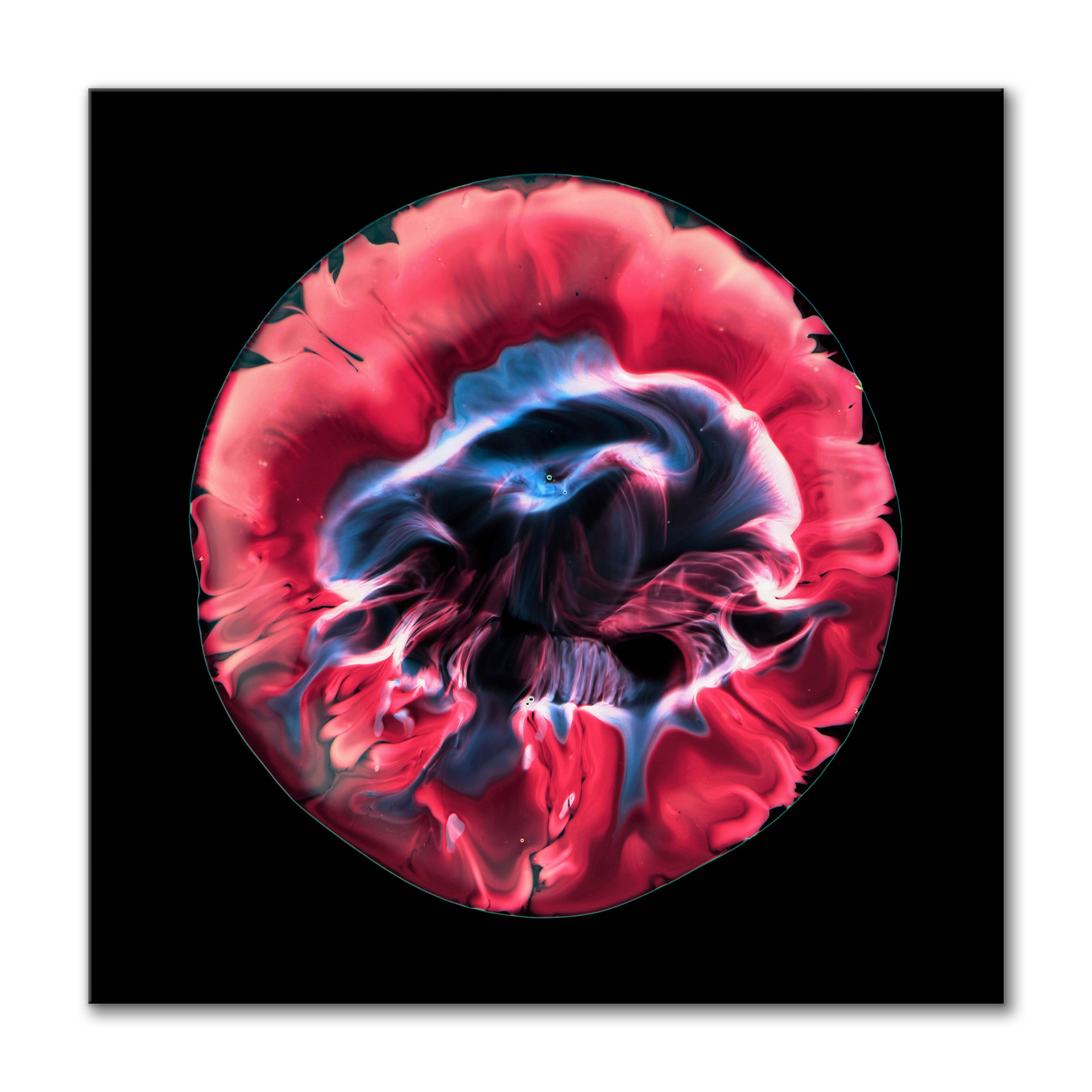 Bloom