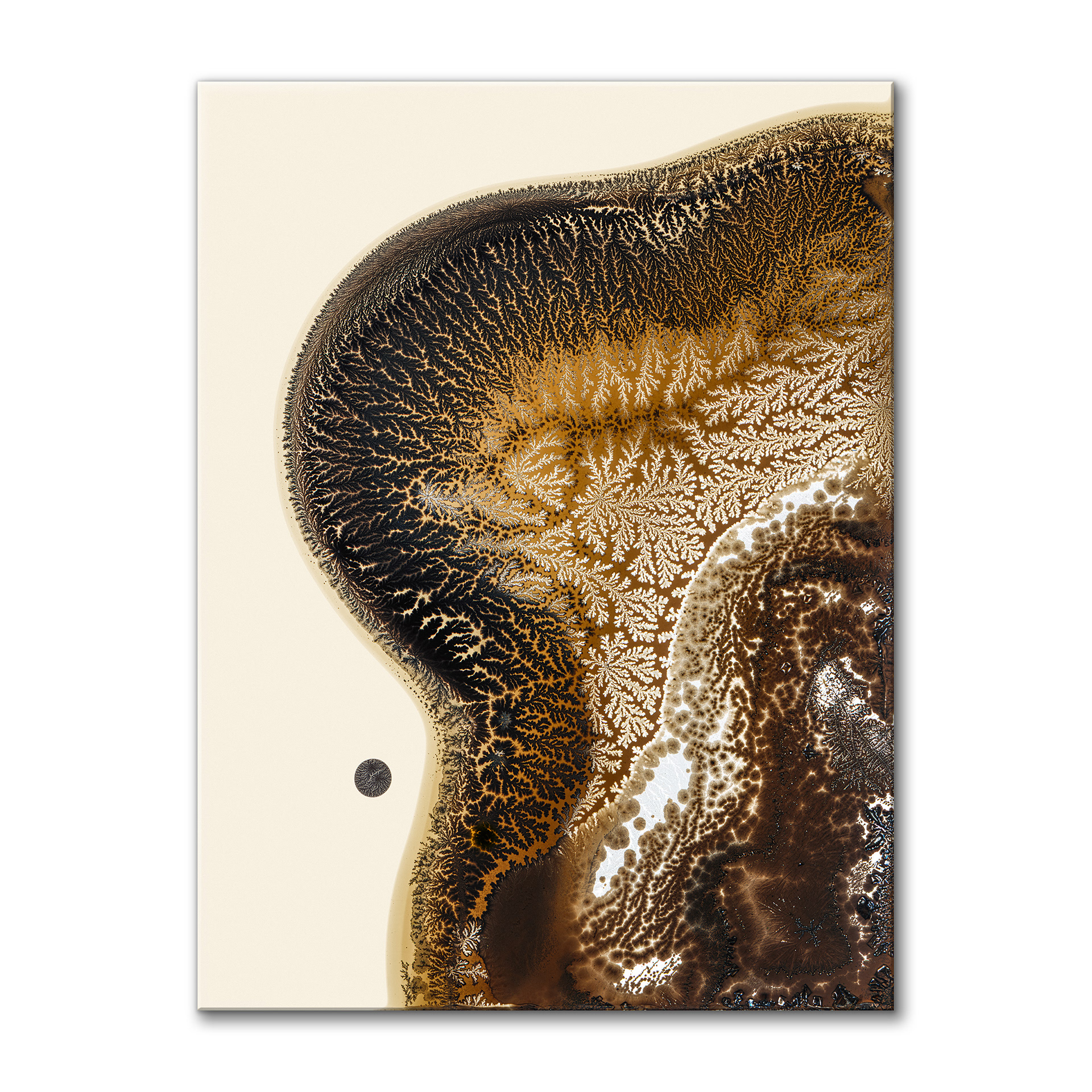 Orogen I