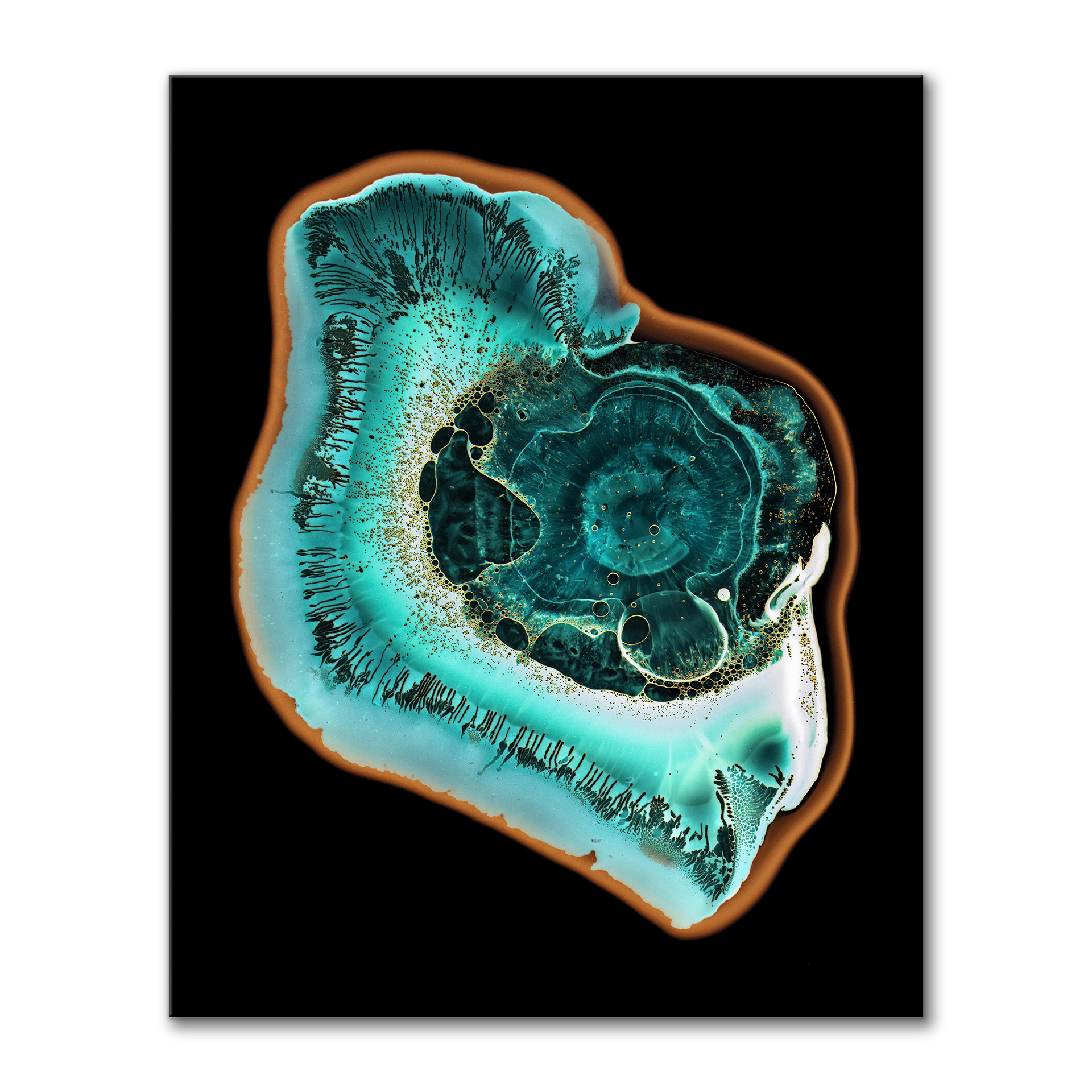 Oasis II