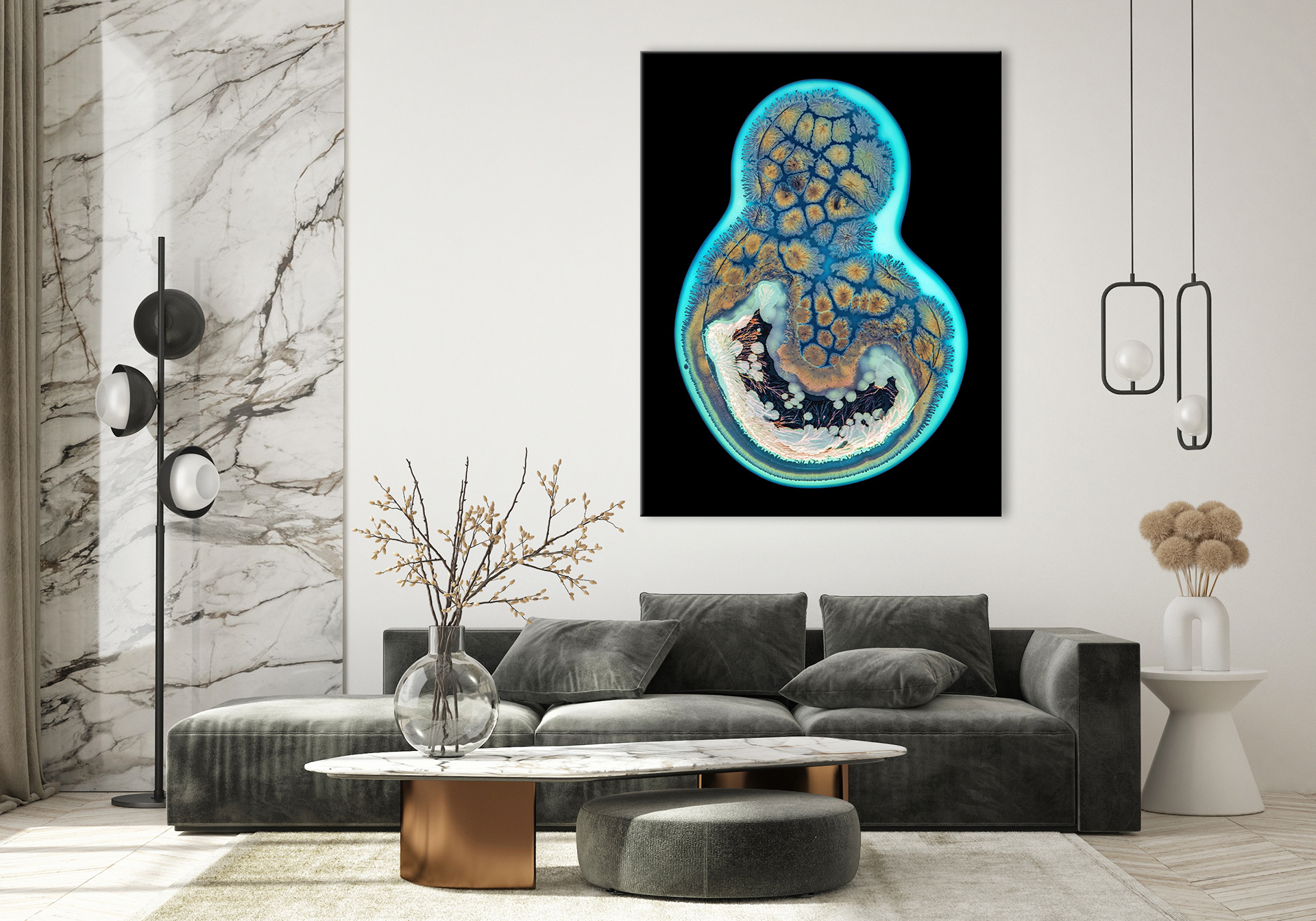 Embryo
