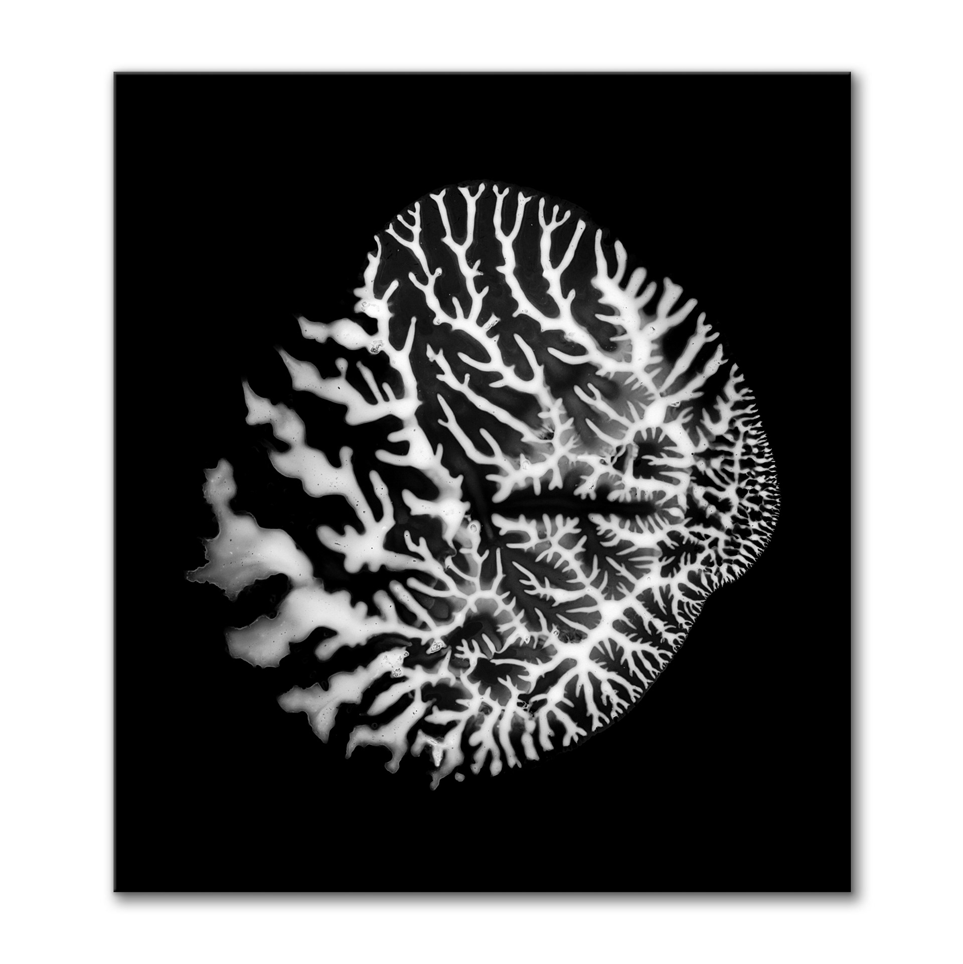 Dendriform I