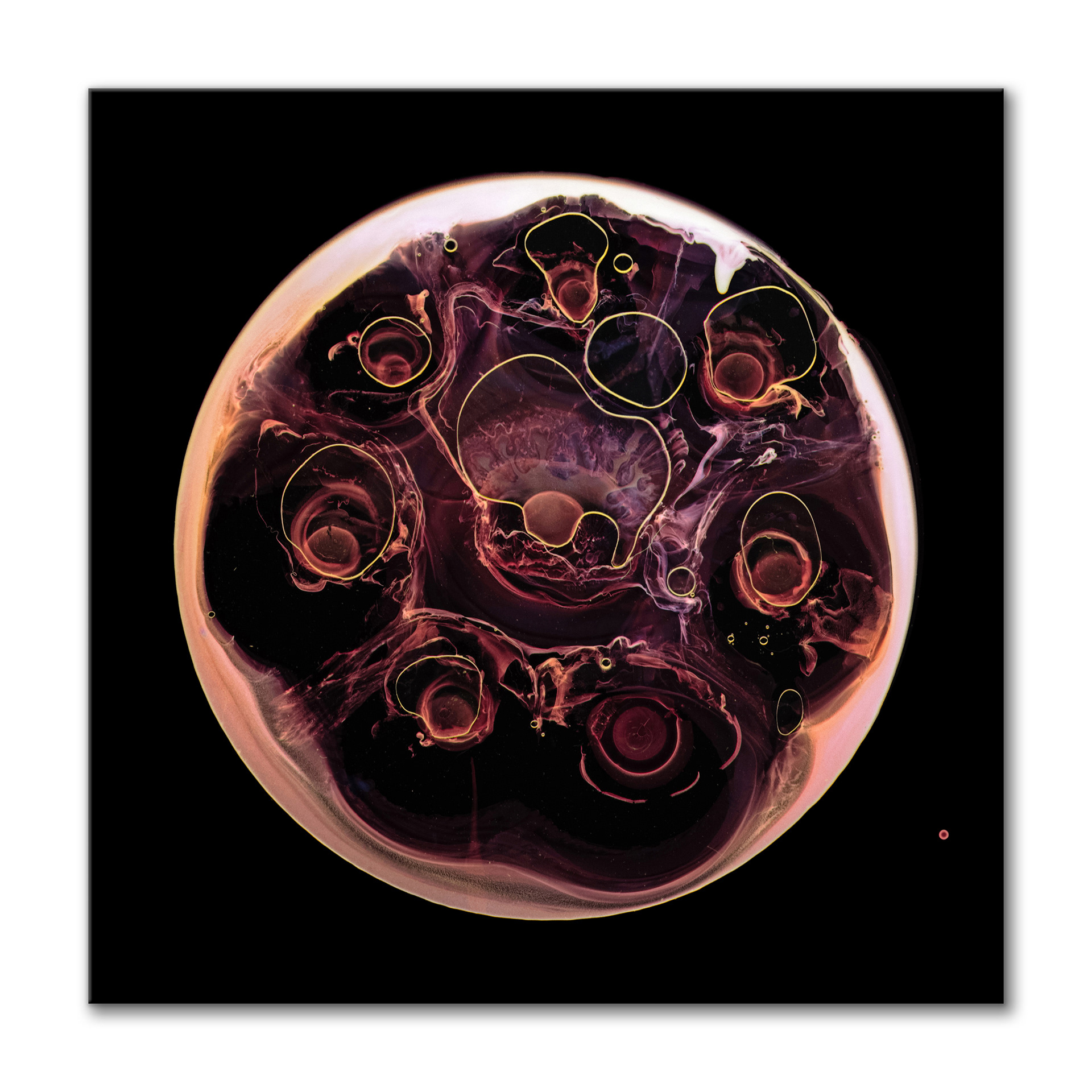 Nexus