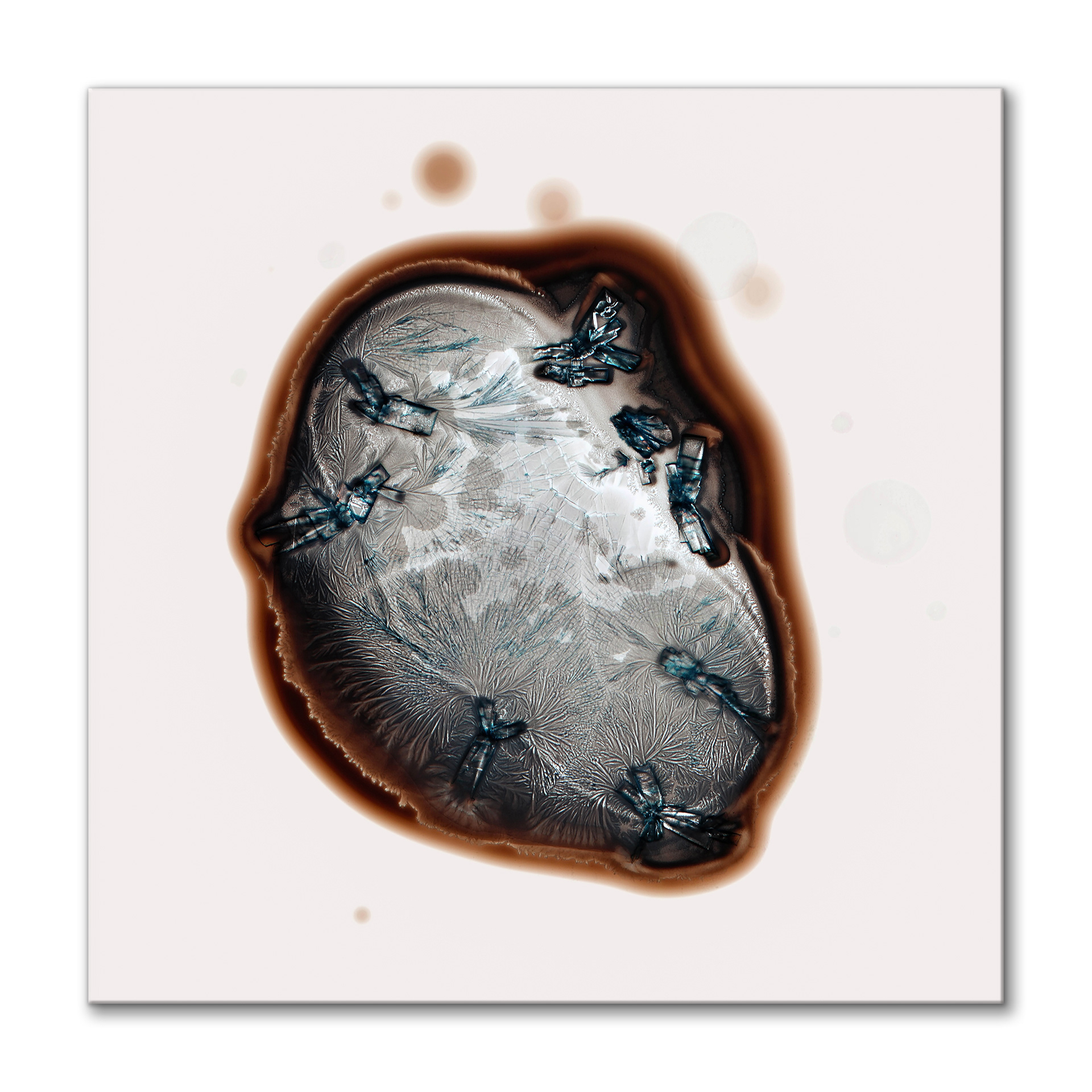Life on Mars I