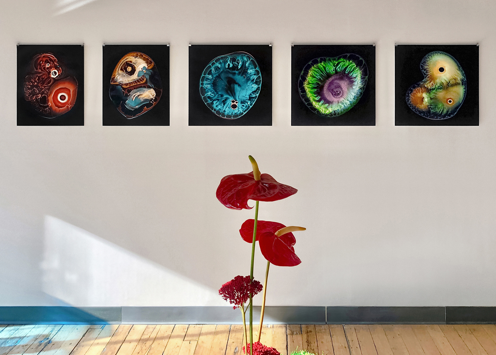 "Koi", "Halcyon", "Lagoon", "Toxin" & "Vitellus"