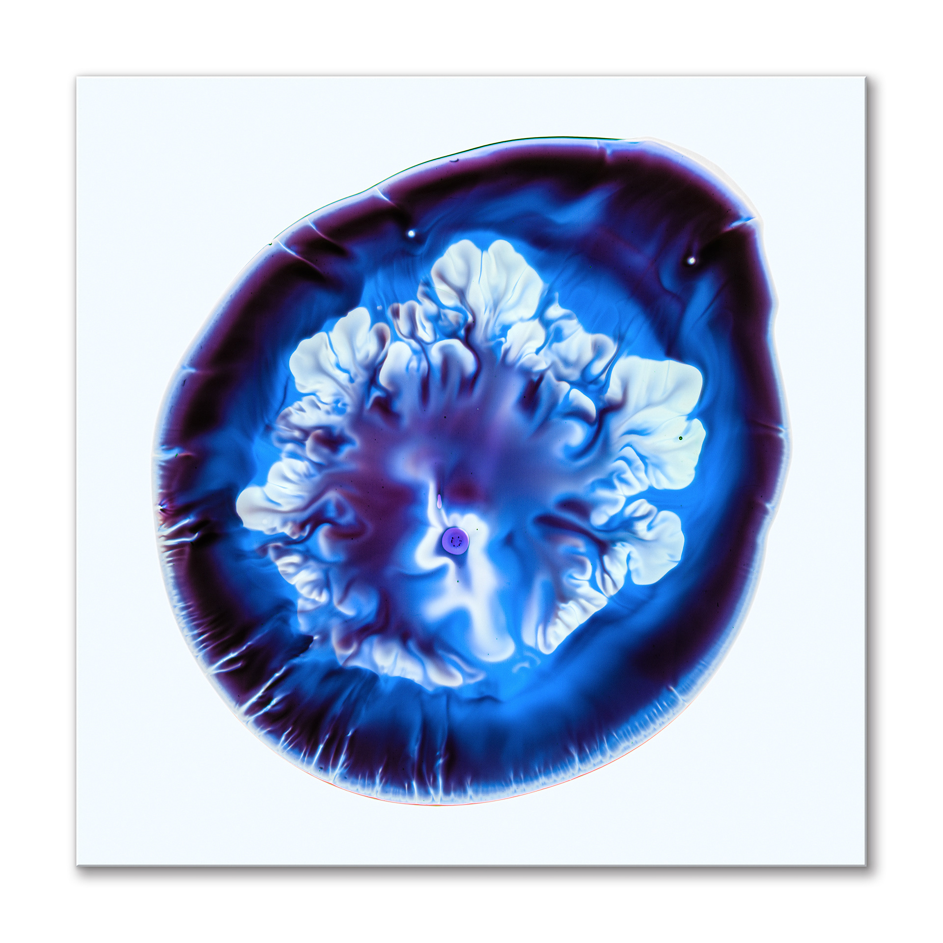 Ultramarine
