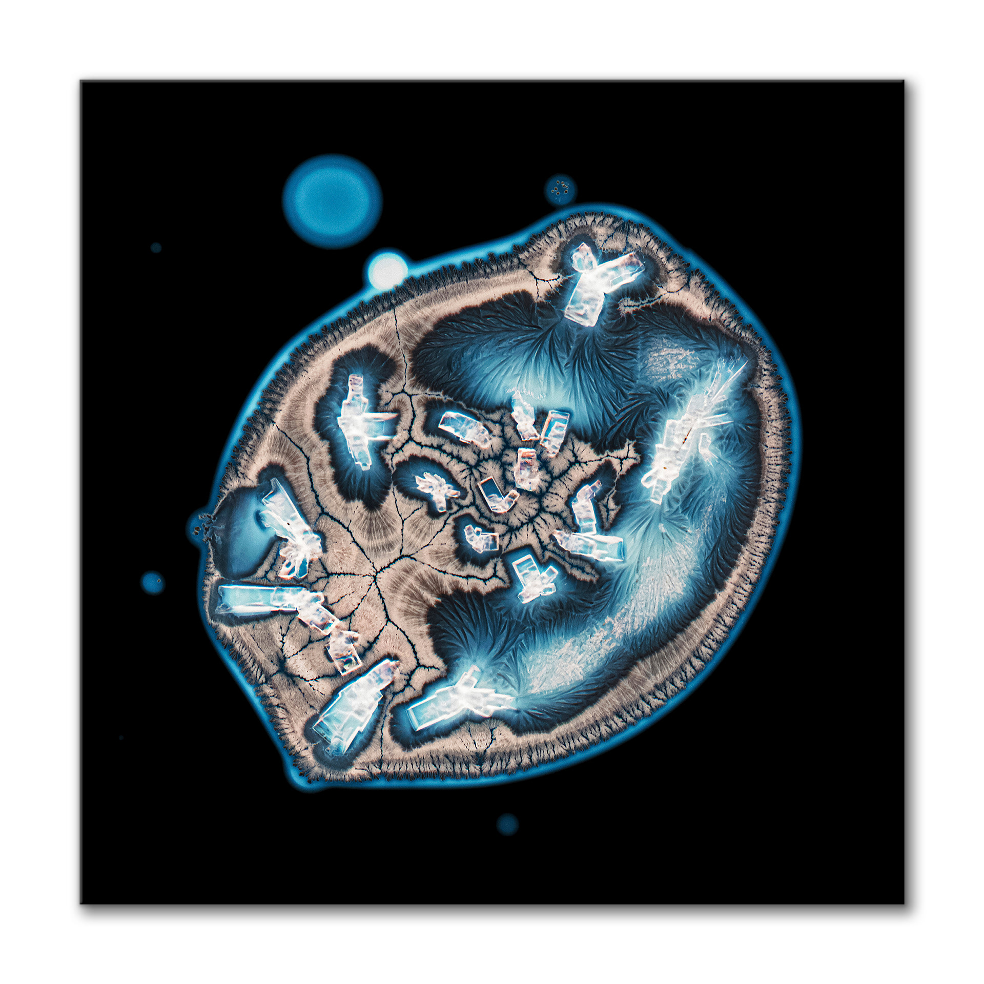 Life on Mars IV