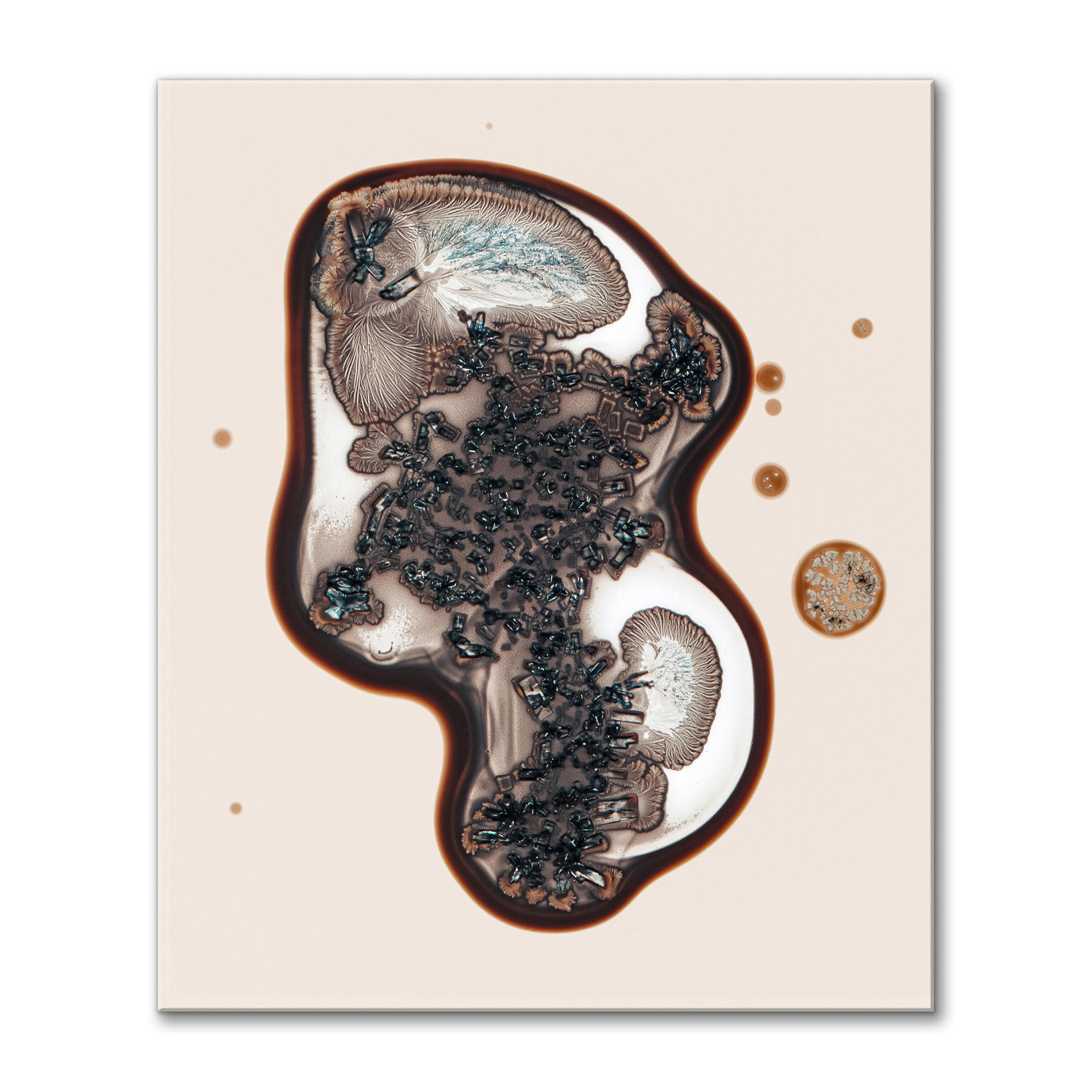 Life on Mars II