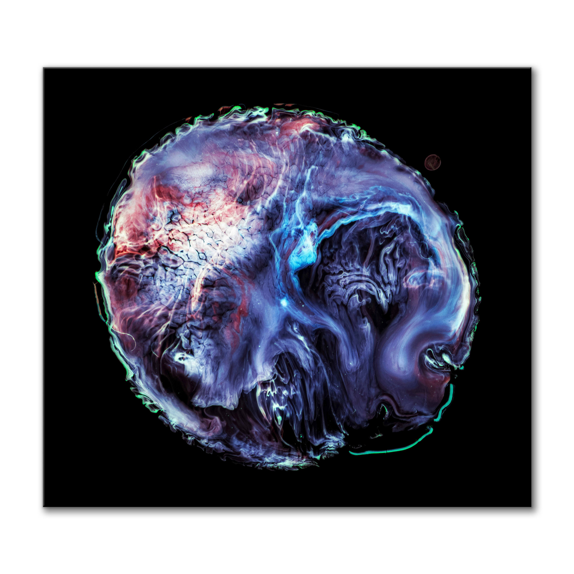 Cerebrum