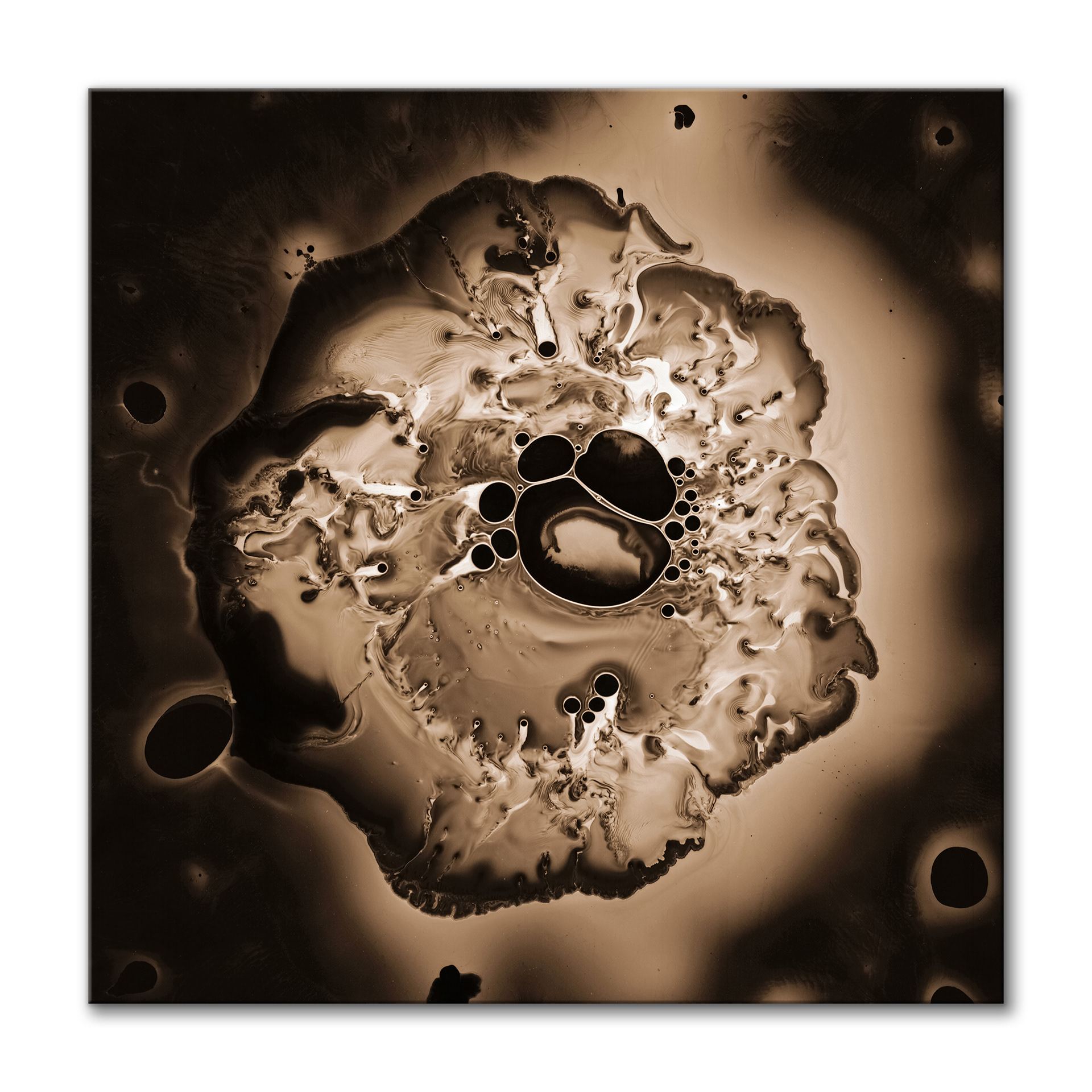 Primordium II