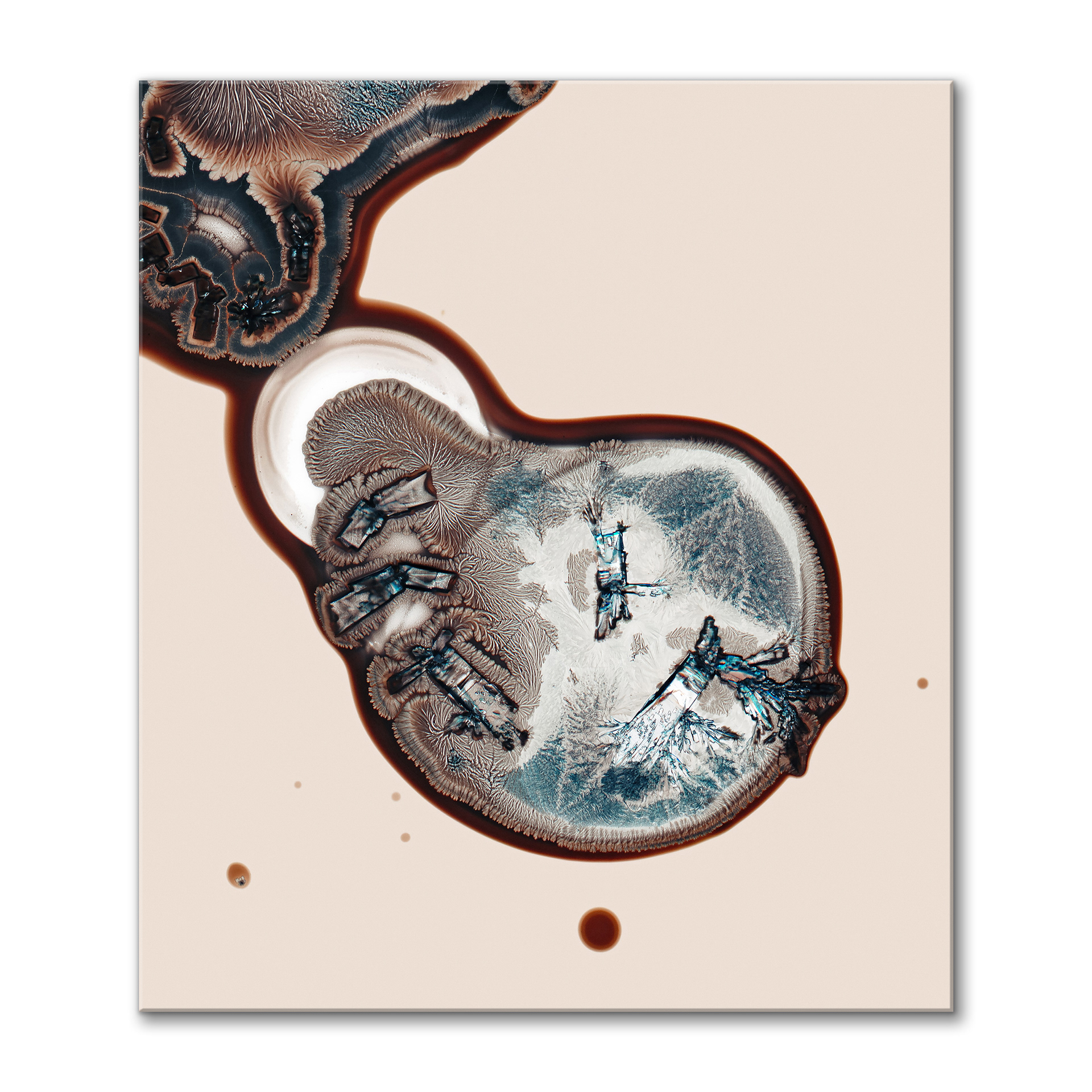 Life on Mars III