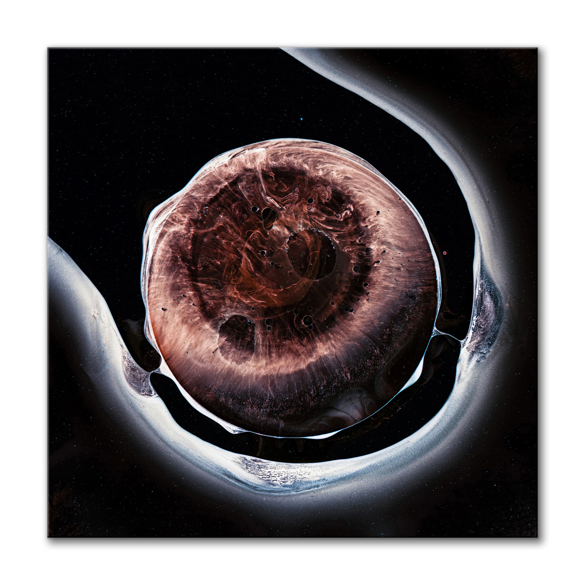 Cosmic Conception I