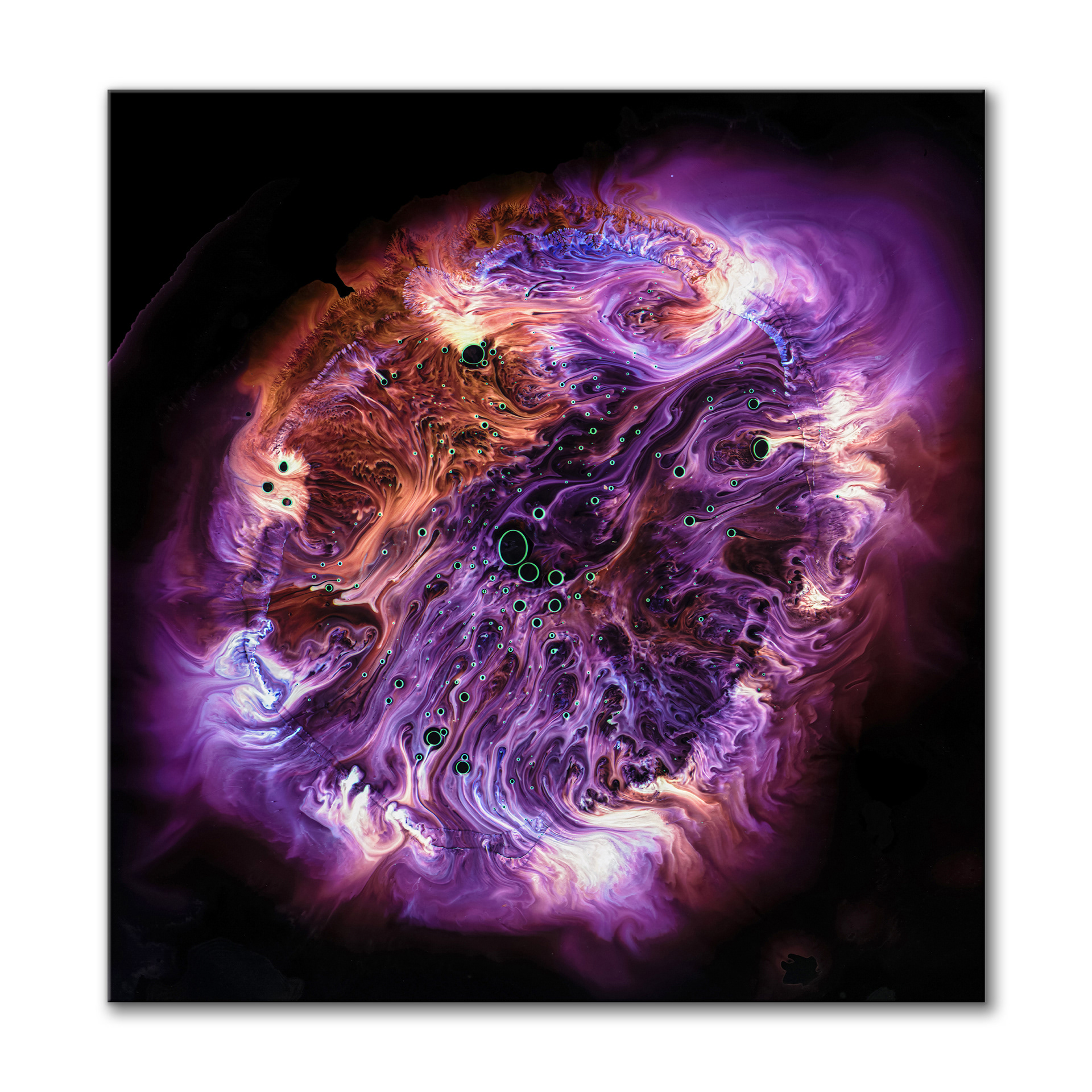 Nebula III