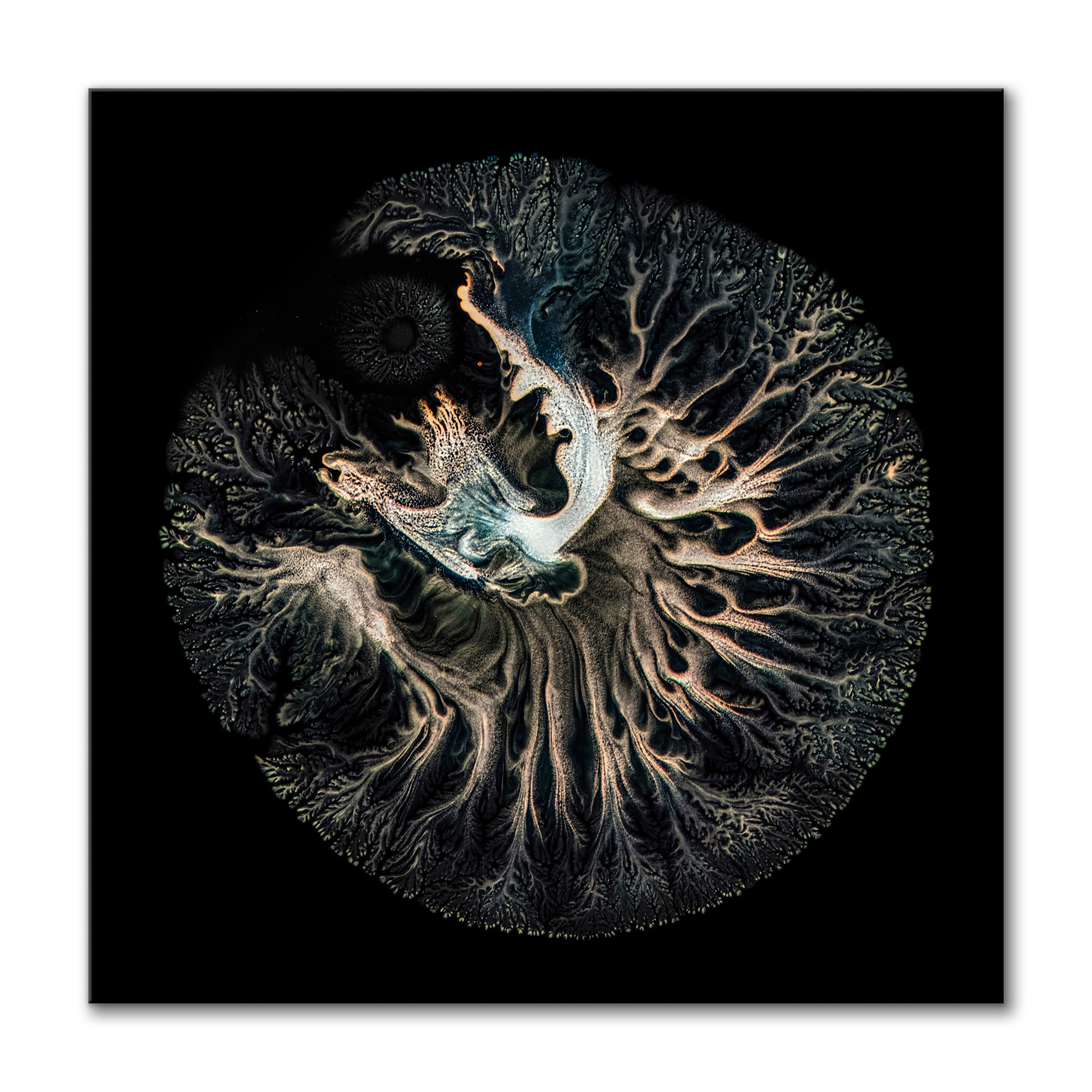 Mycelium II