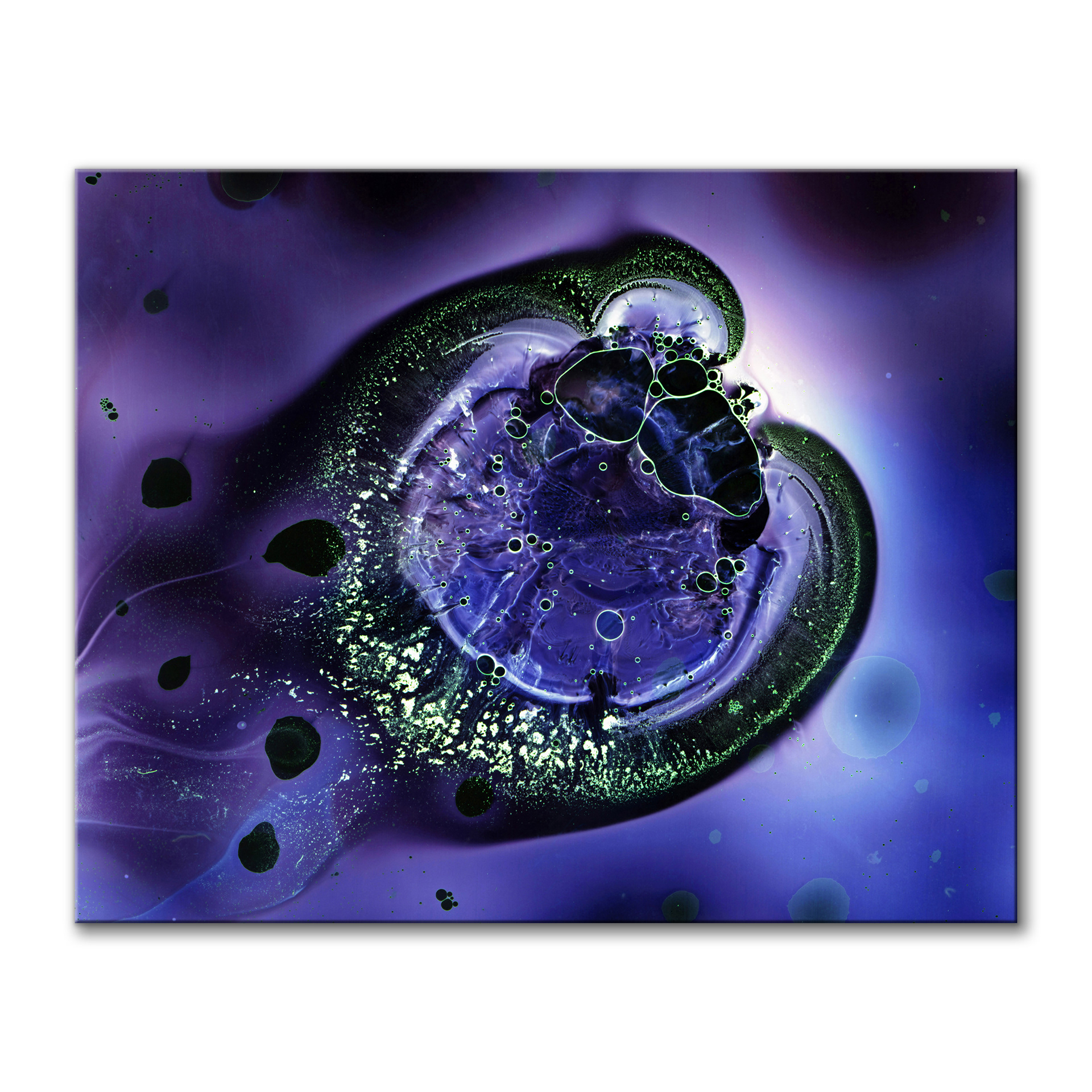 Jellyfish