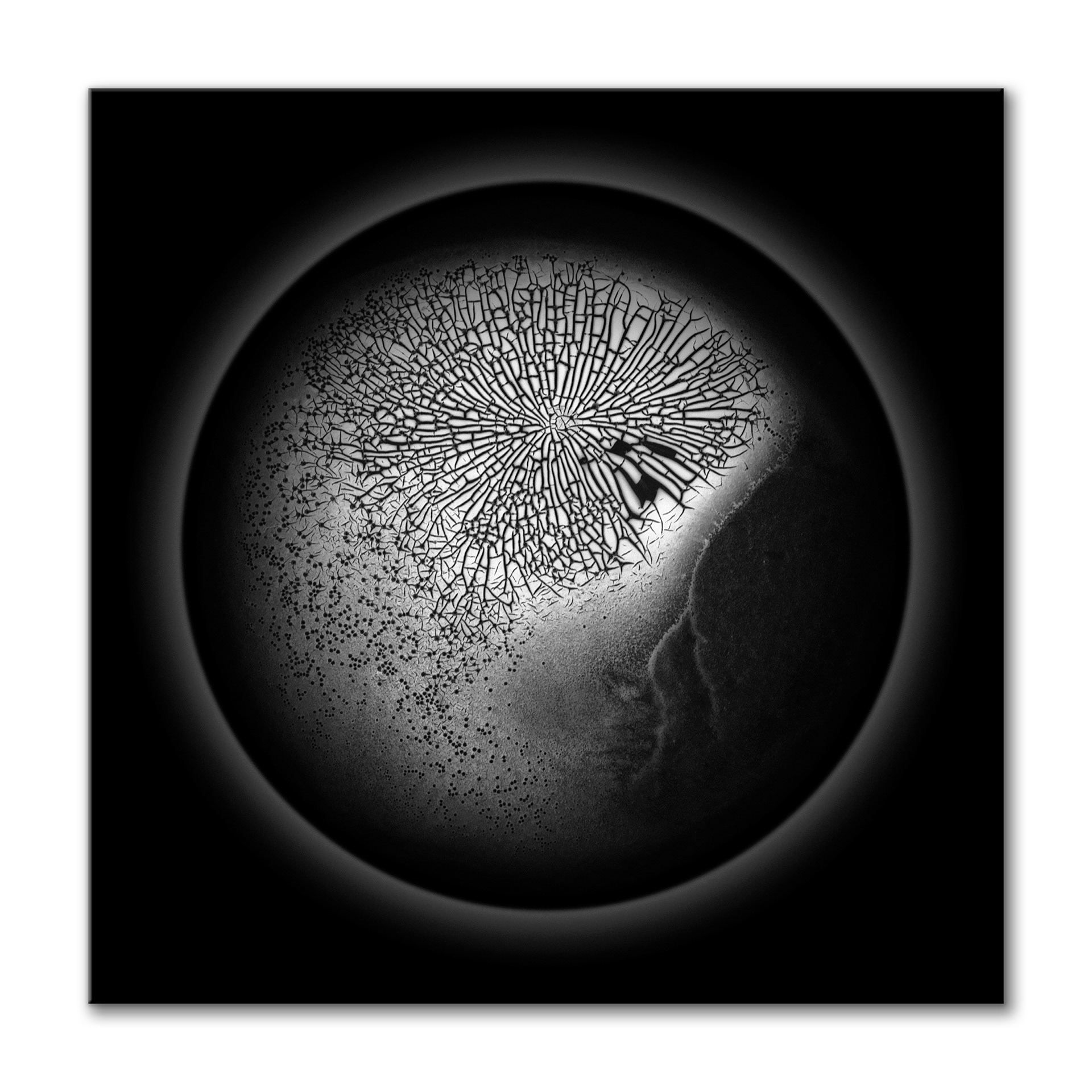 Noxa
