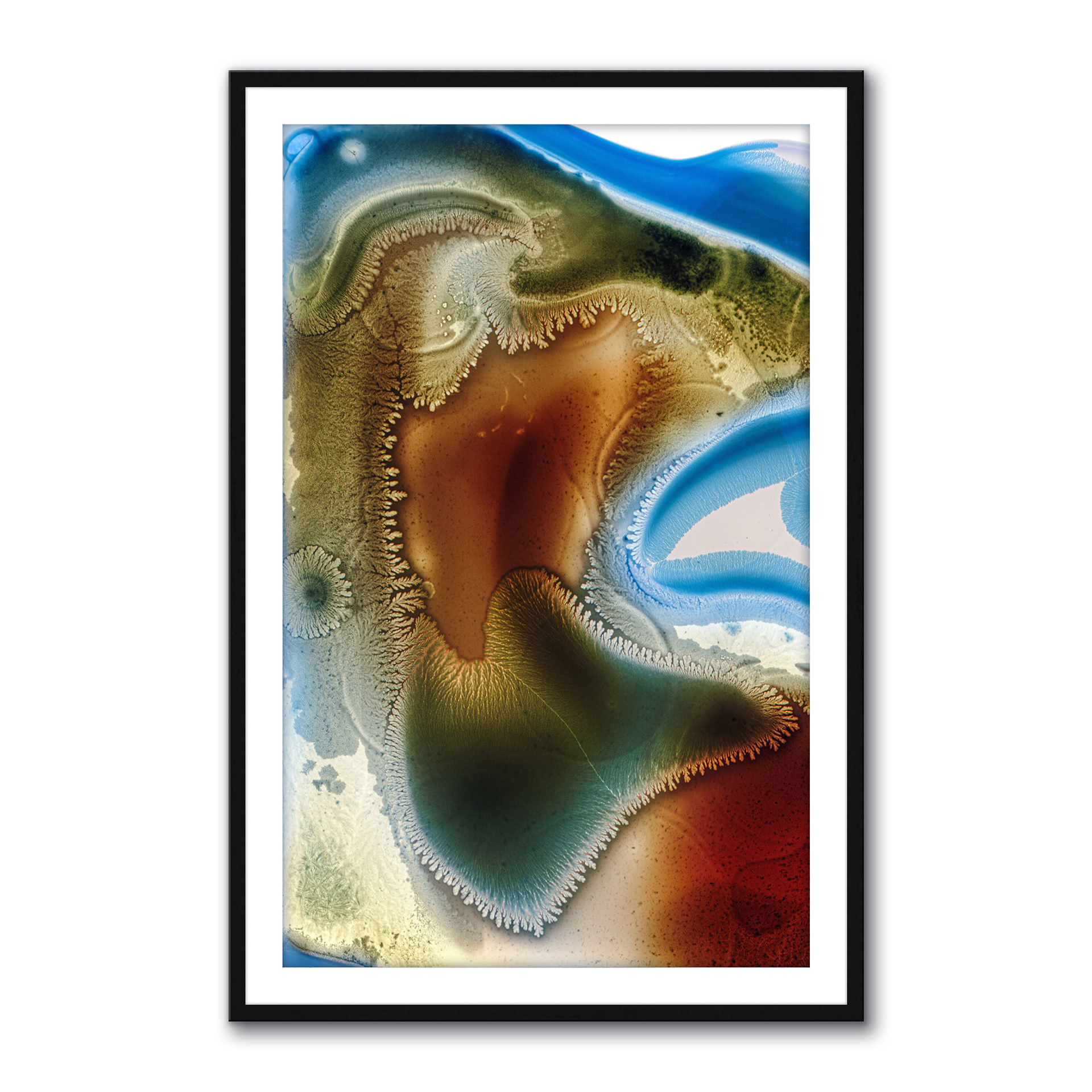 Crystalscape #10 (Mycobiome)