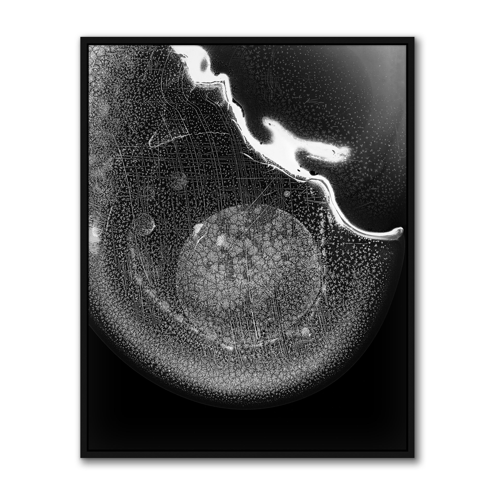 In Utero