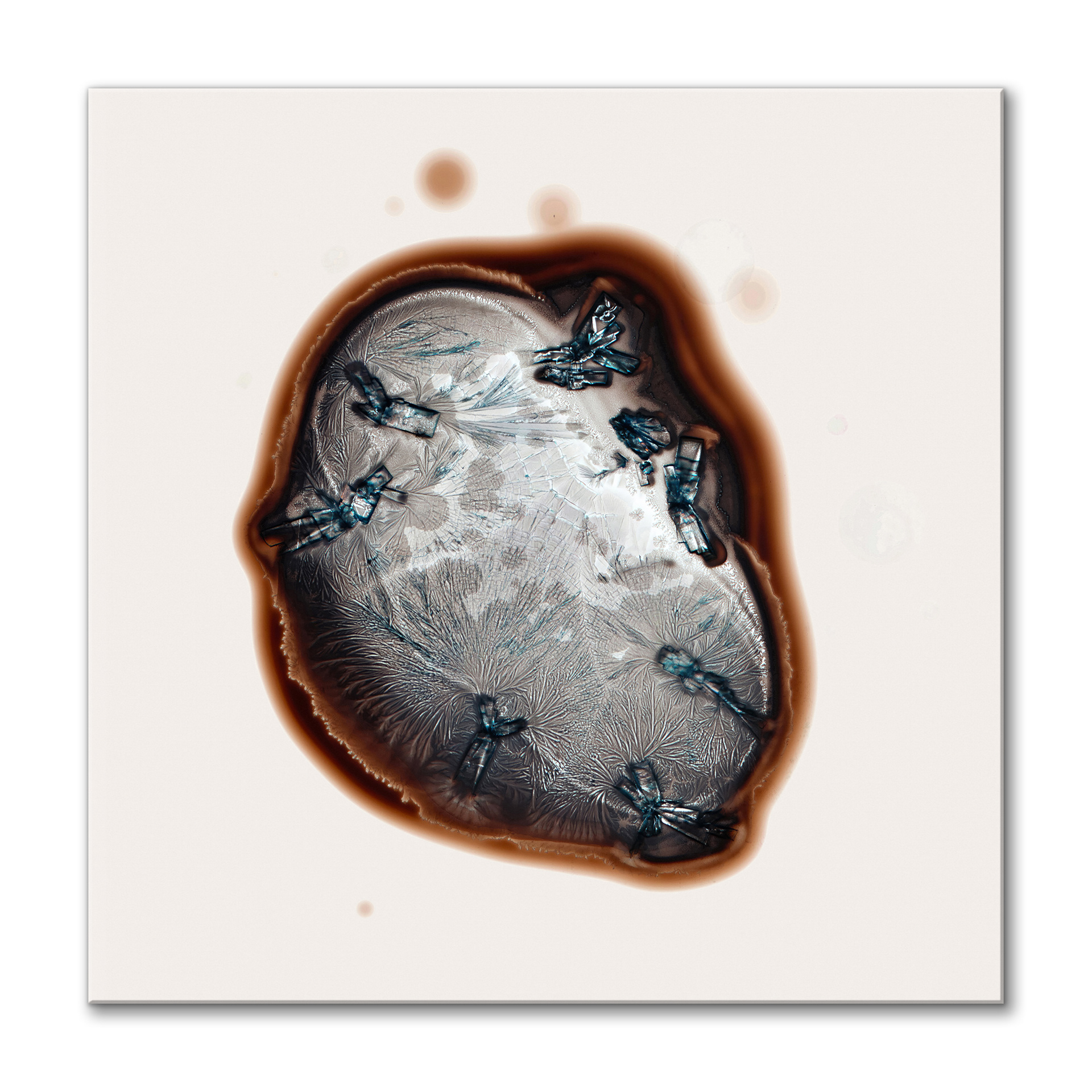 Life on Mars I