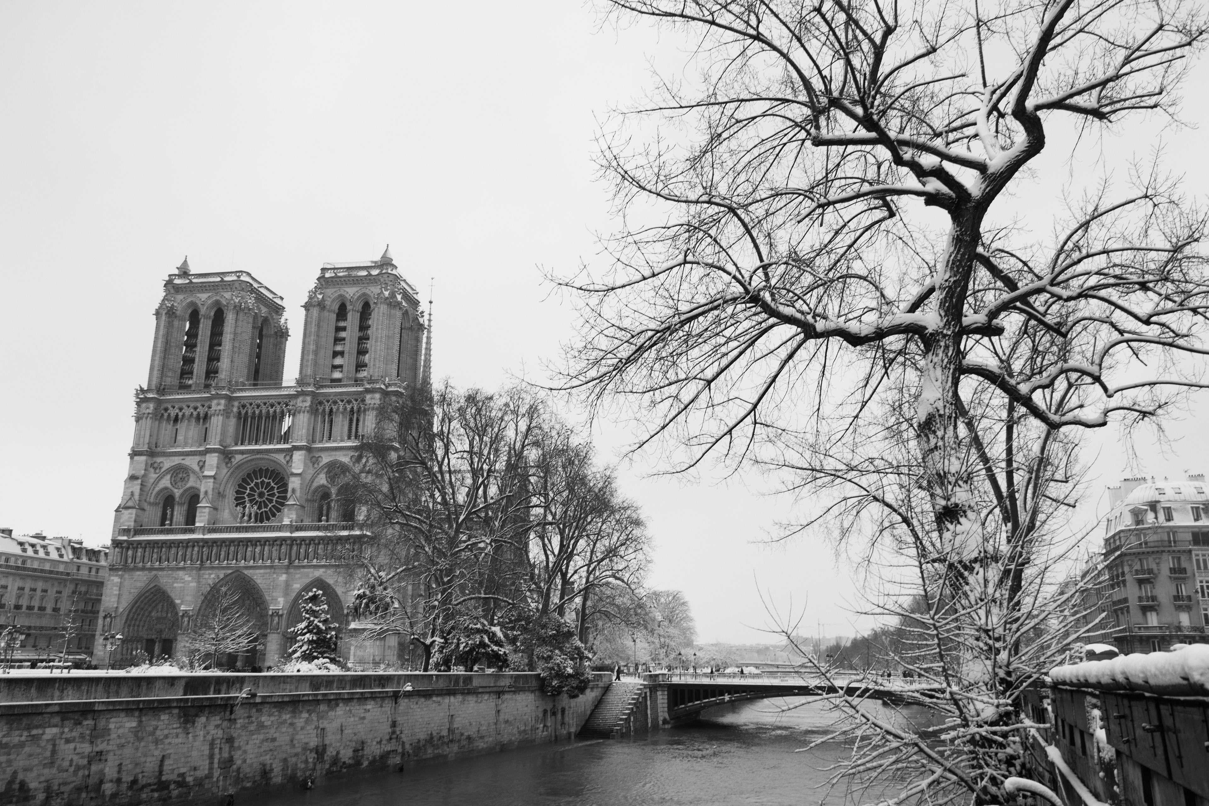 Notre Dame, Paris