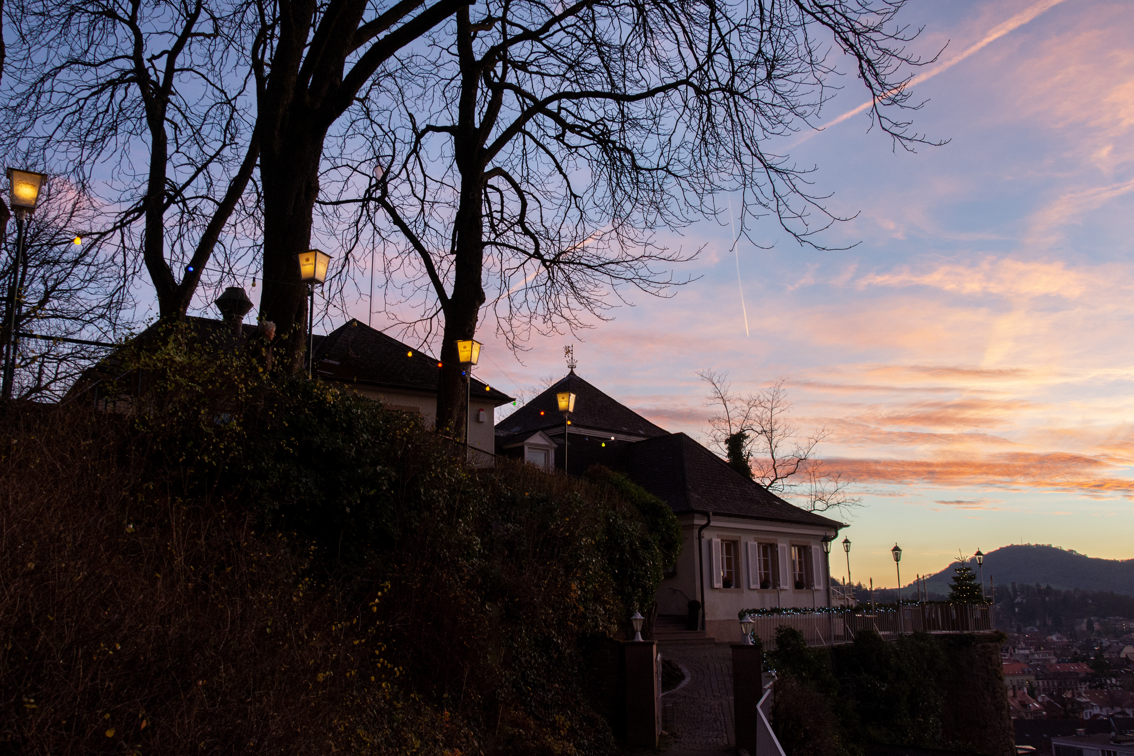 Beer Garden - Freibourg