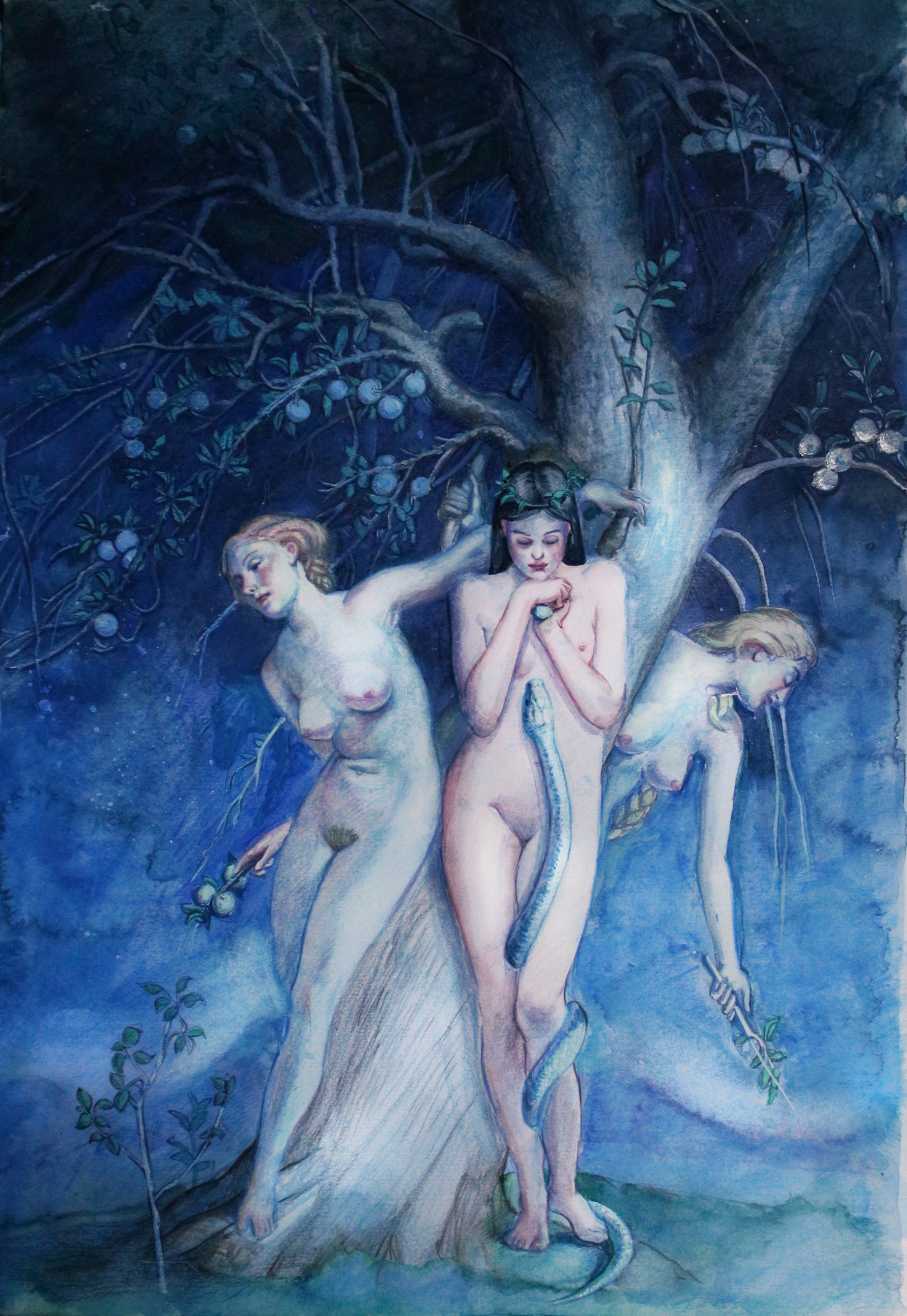 The Garden of the Hesperides. Watercolour. 30 x 45 cm