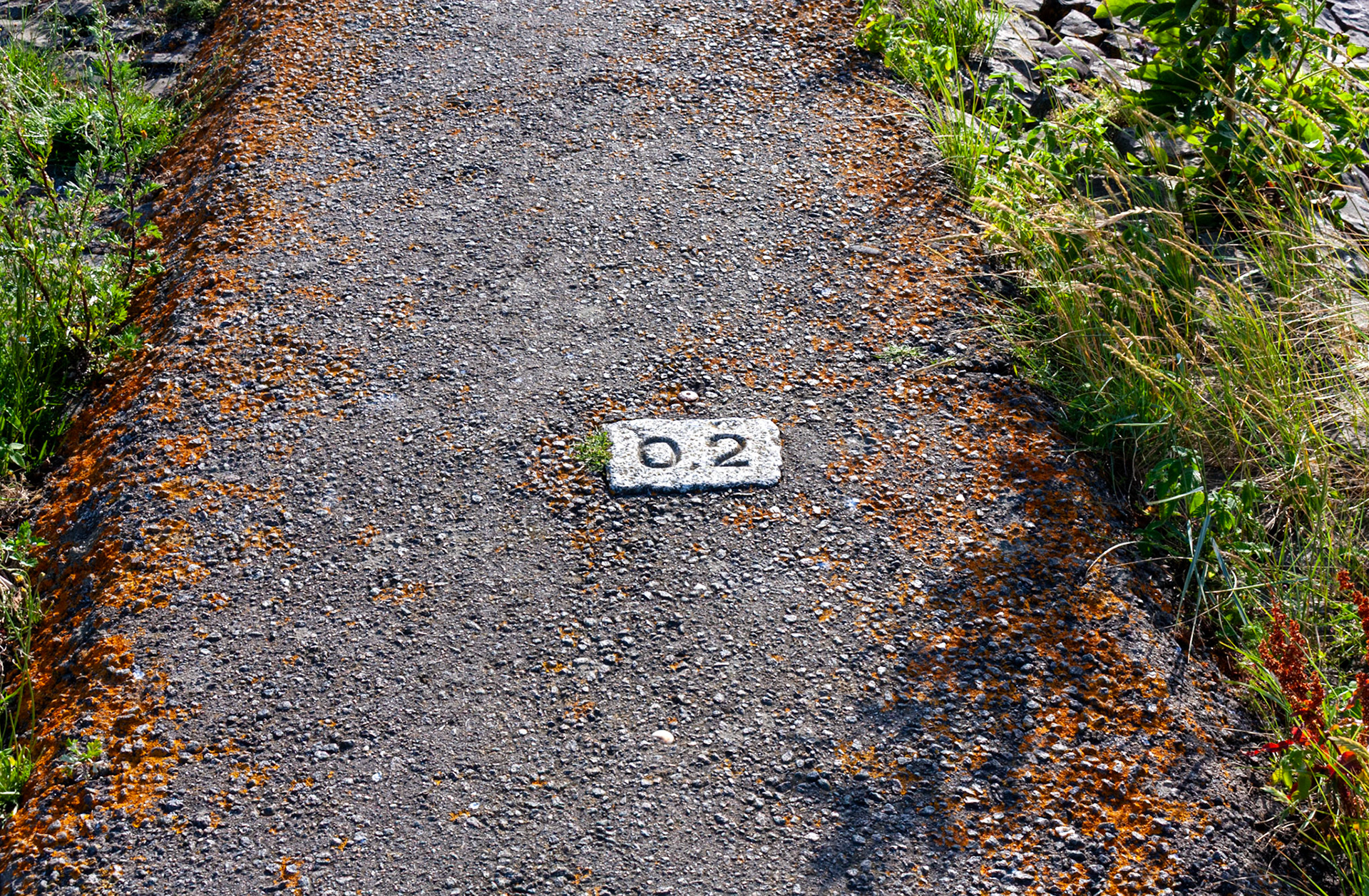 Friedrichskoog, 12 July 2026