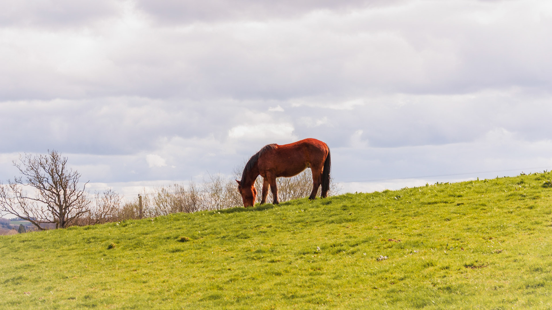 Cotswolds, 5 April 2026