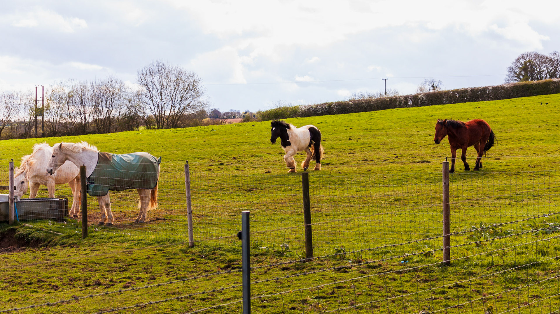 Cotswolds, 5 April 2026