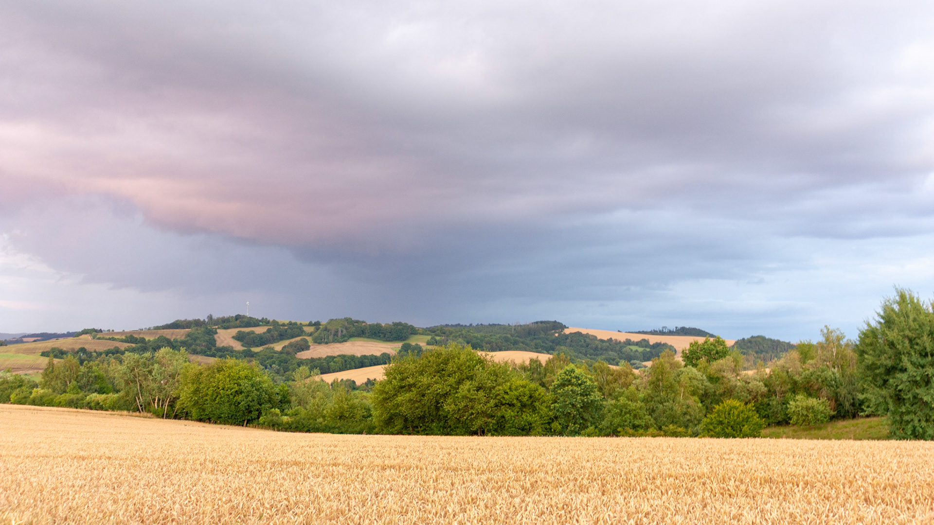 Brochthausen, 22 July 2026