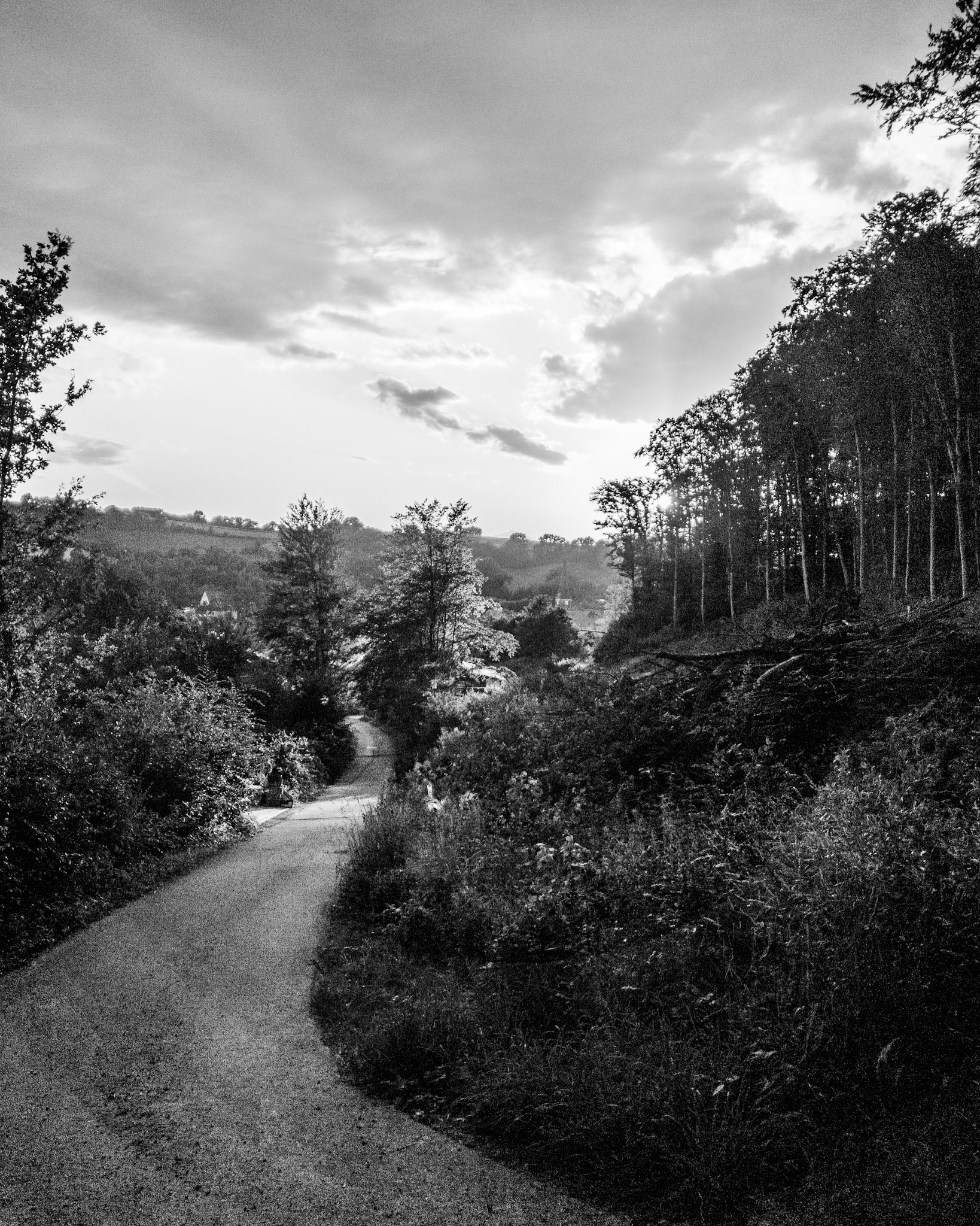Brochthausen, 22 July 2026