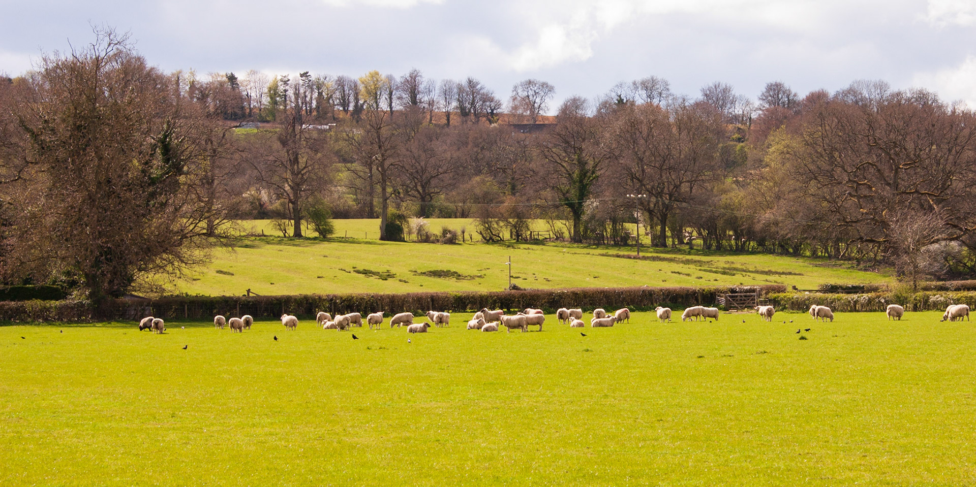 Cotswolds, 5 April 2026