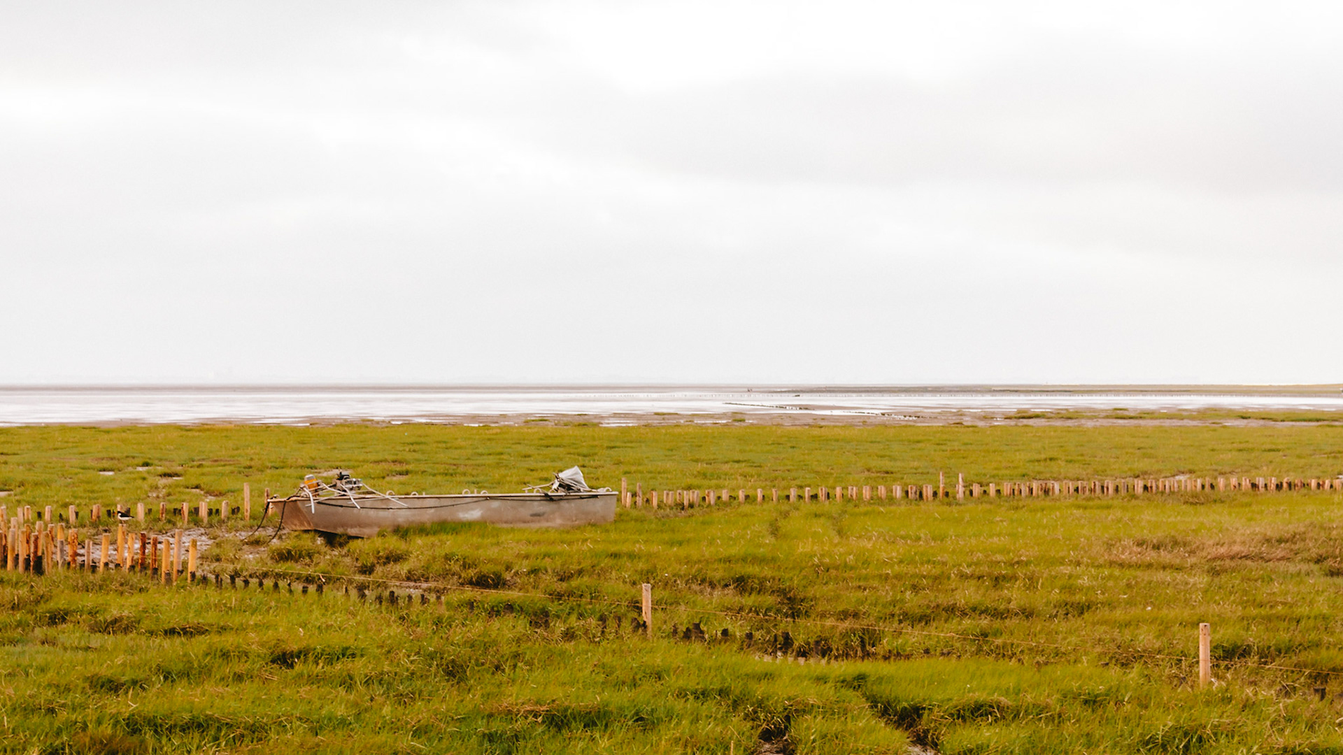 Friedrichskoog, 12 July 2026
