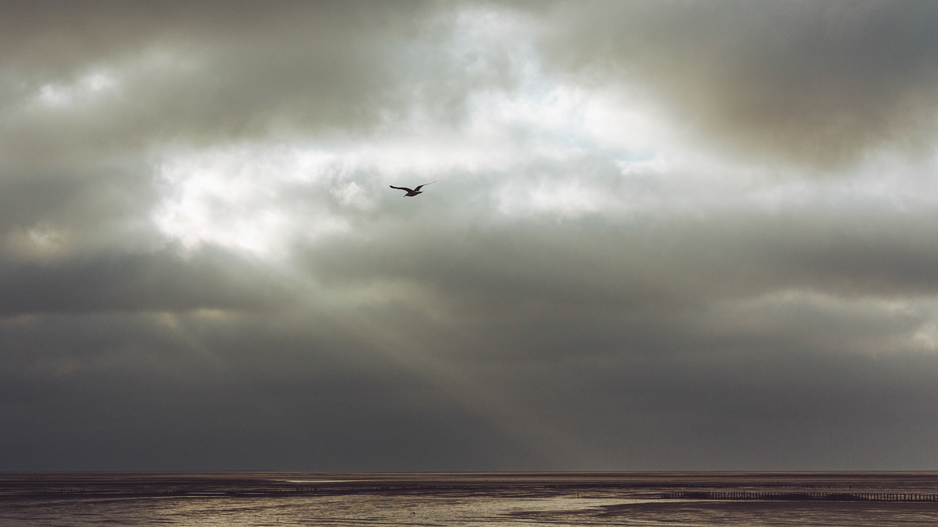Friedrichskoog, 12 July 2026