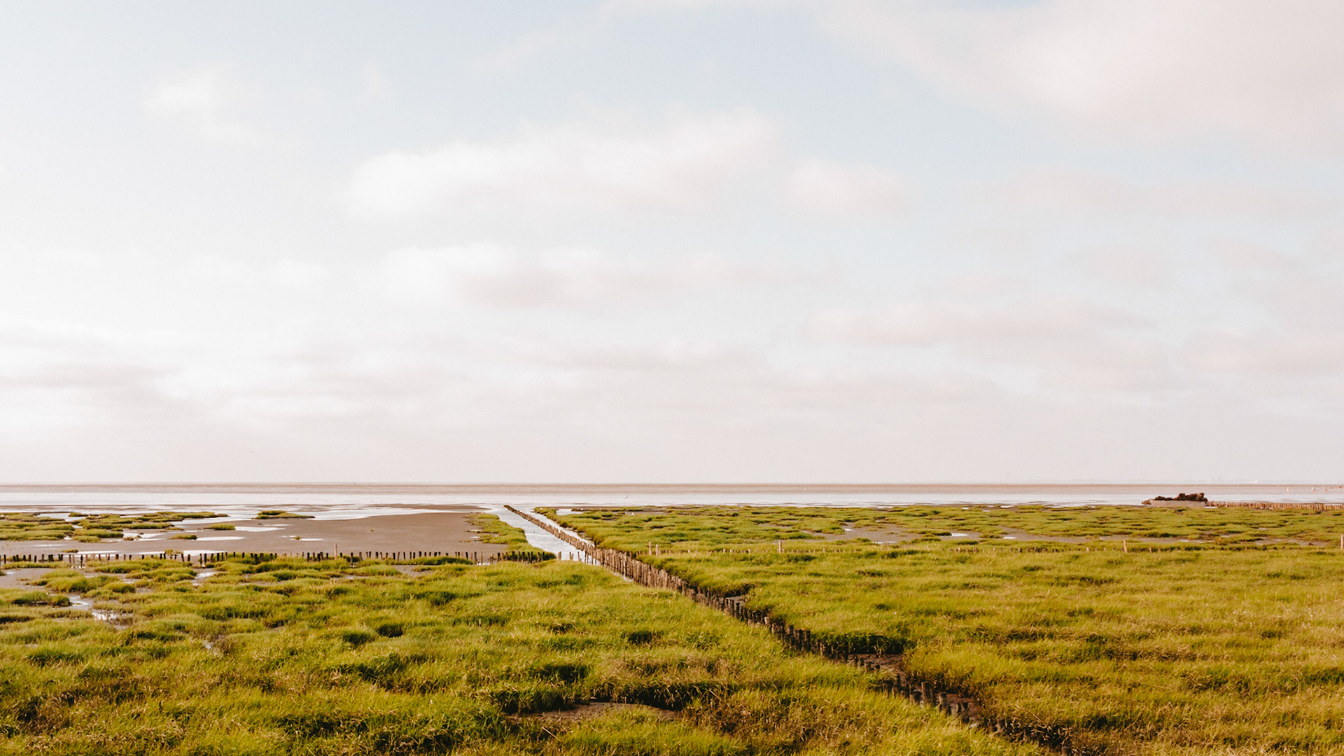 Friedrichskoog, 12 July 2026