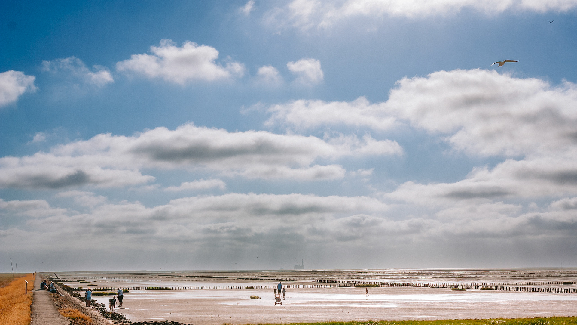 Friedrichskoog, 12 July 2026