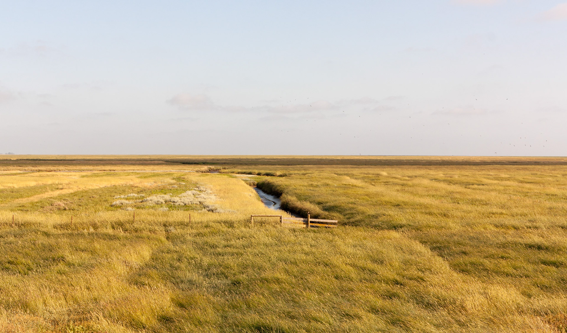 Friedrichskoog, 12 July 2026