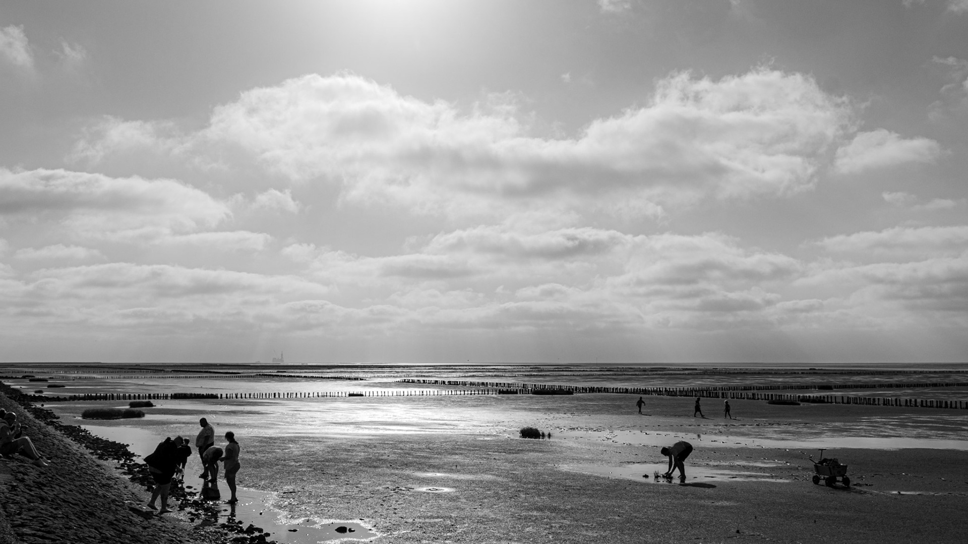 Friedrichskoog, 12 July 2026