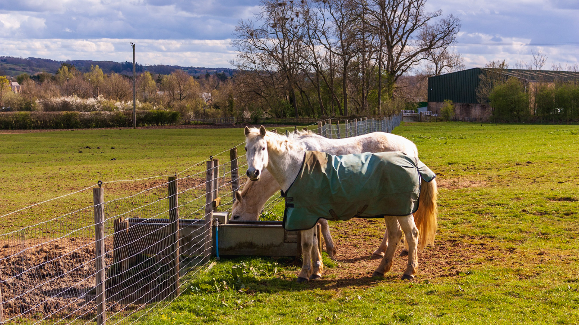 Cotswolds, 5 April 2026