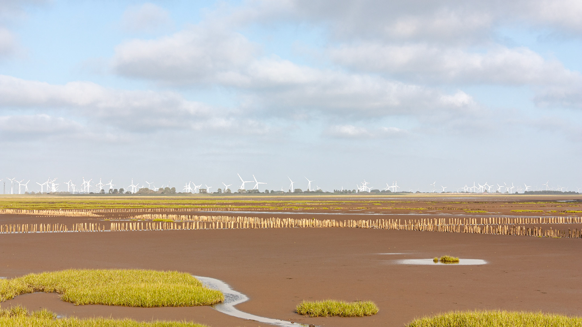 Friedrichskoog, 12 July 2026