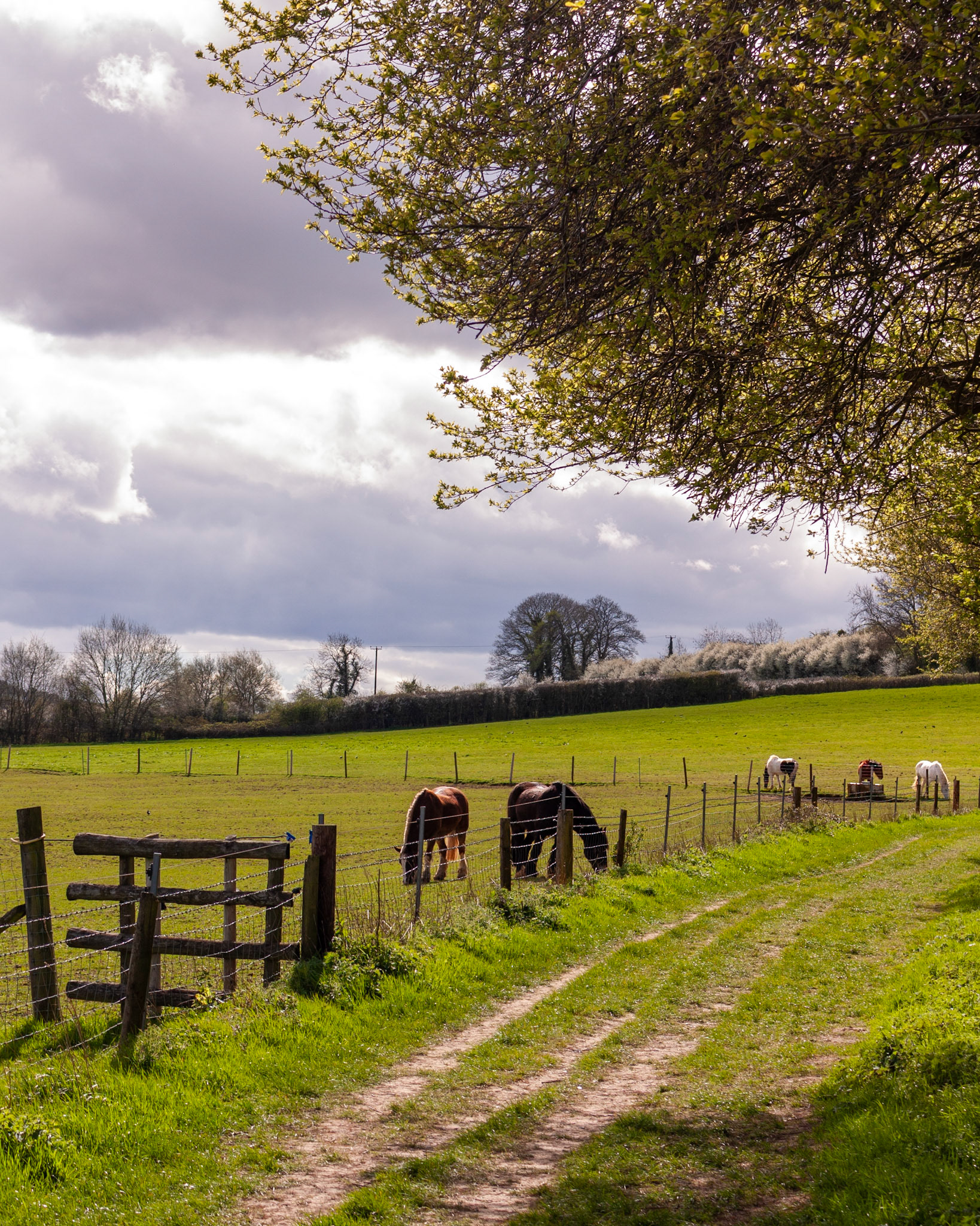 Cotswolds, 5 April 2026