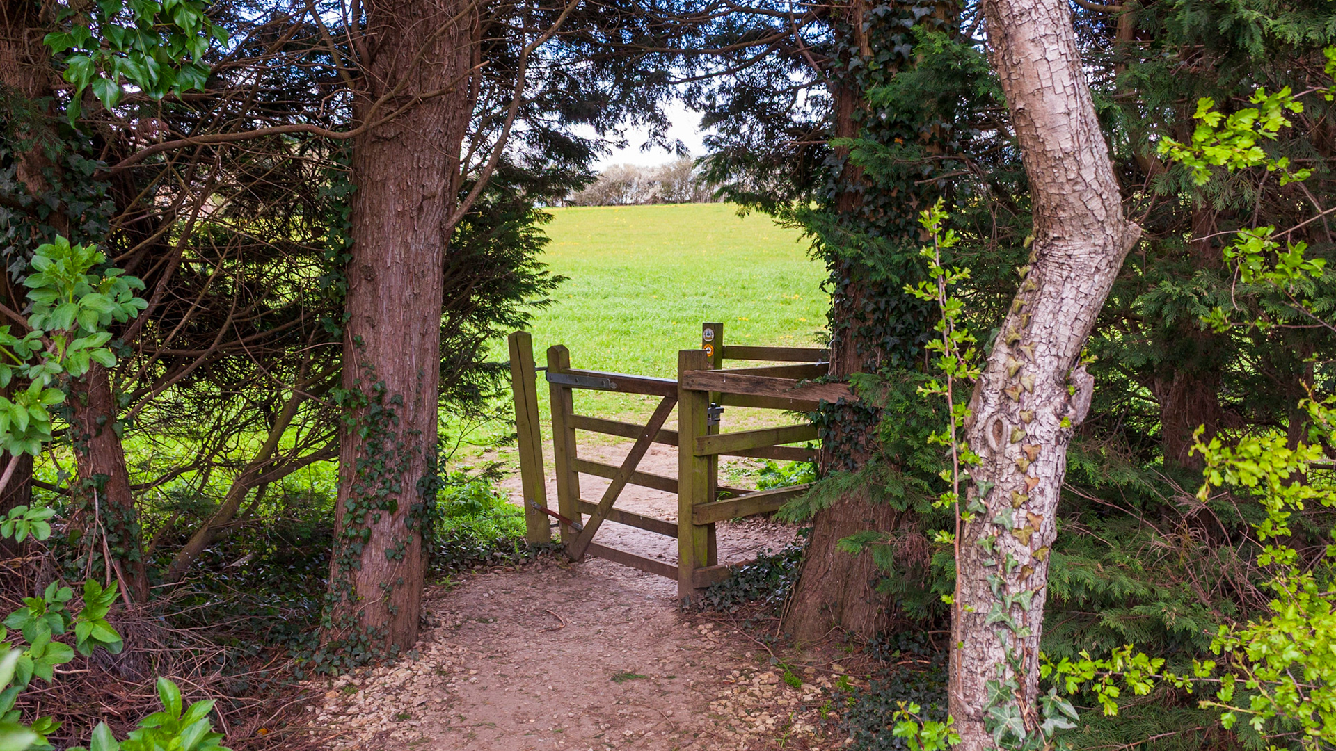 Cotswolds, 5 April 2026