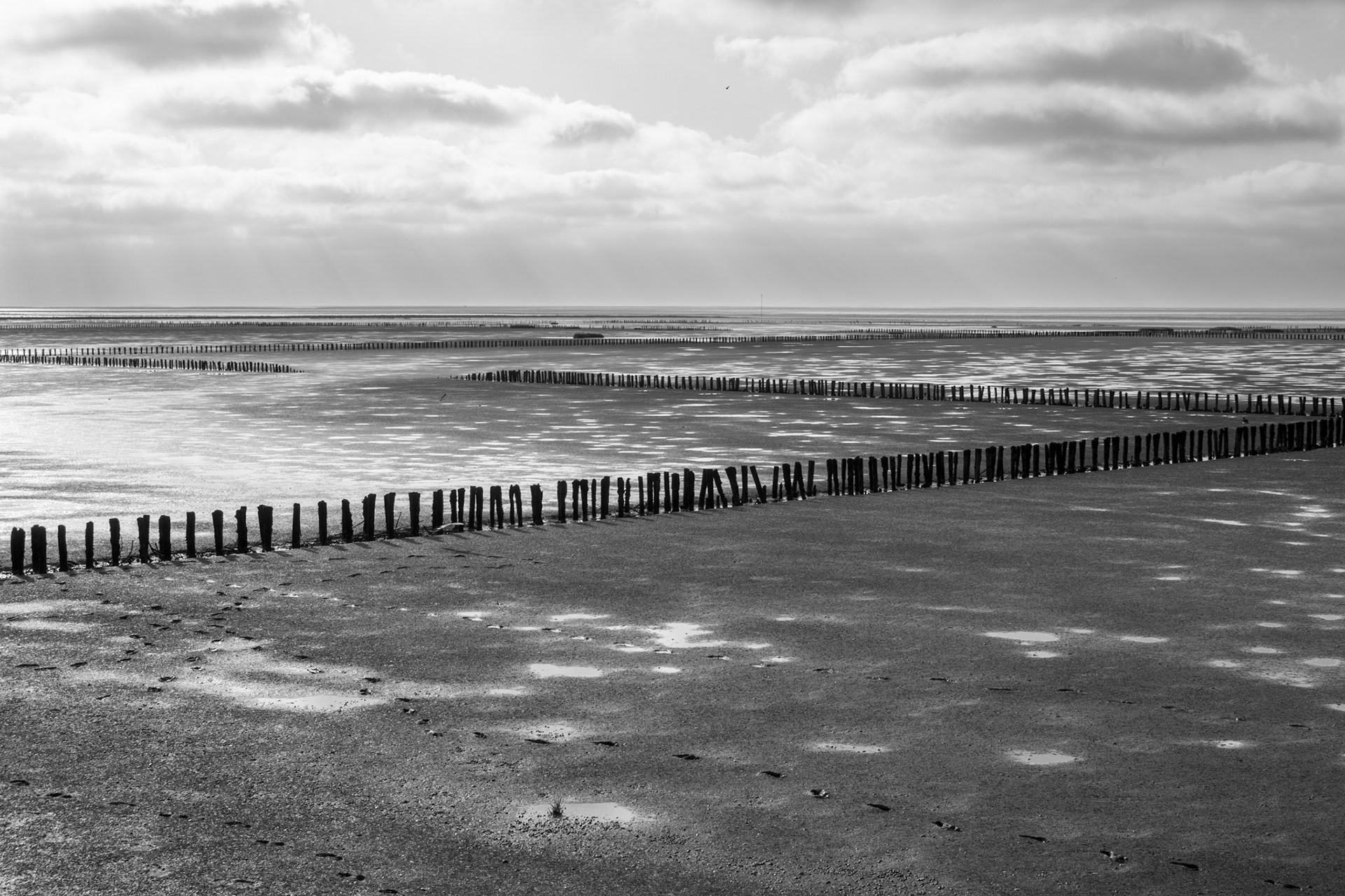 Friedrichskoog, 12 July 2026